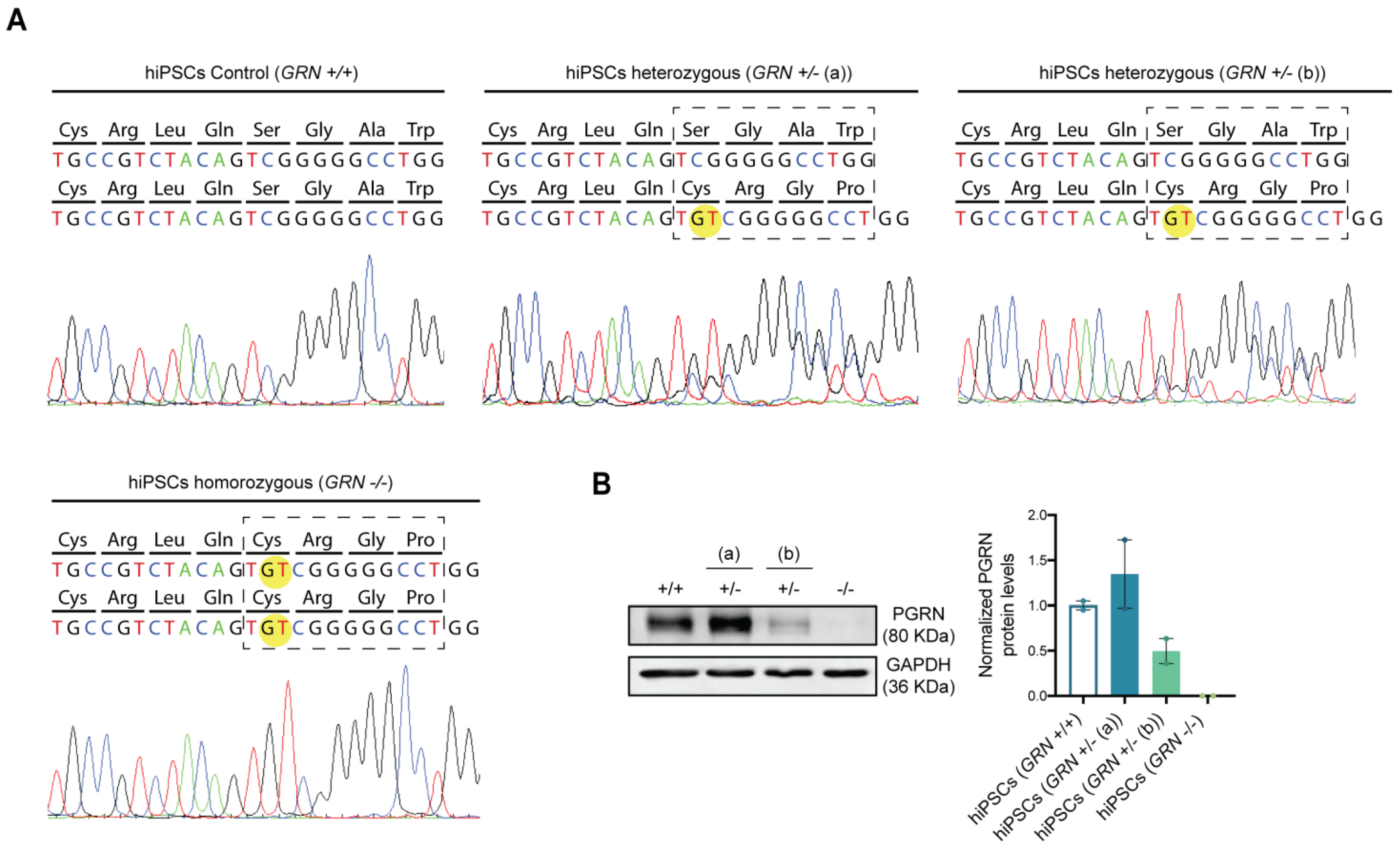 Biomedicines 10 01905 g003
