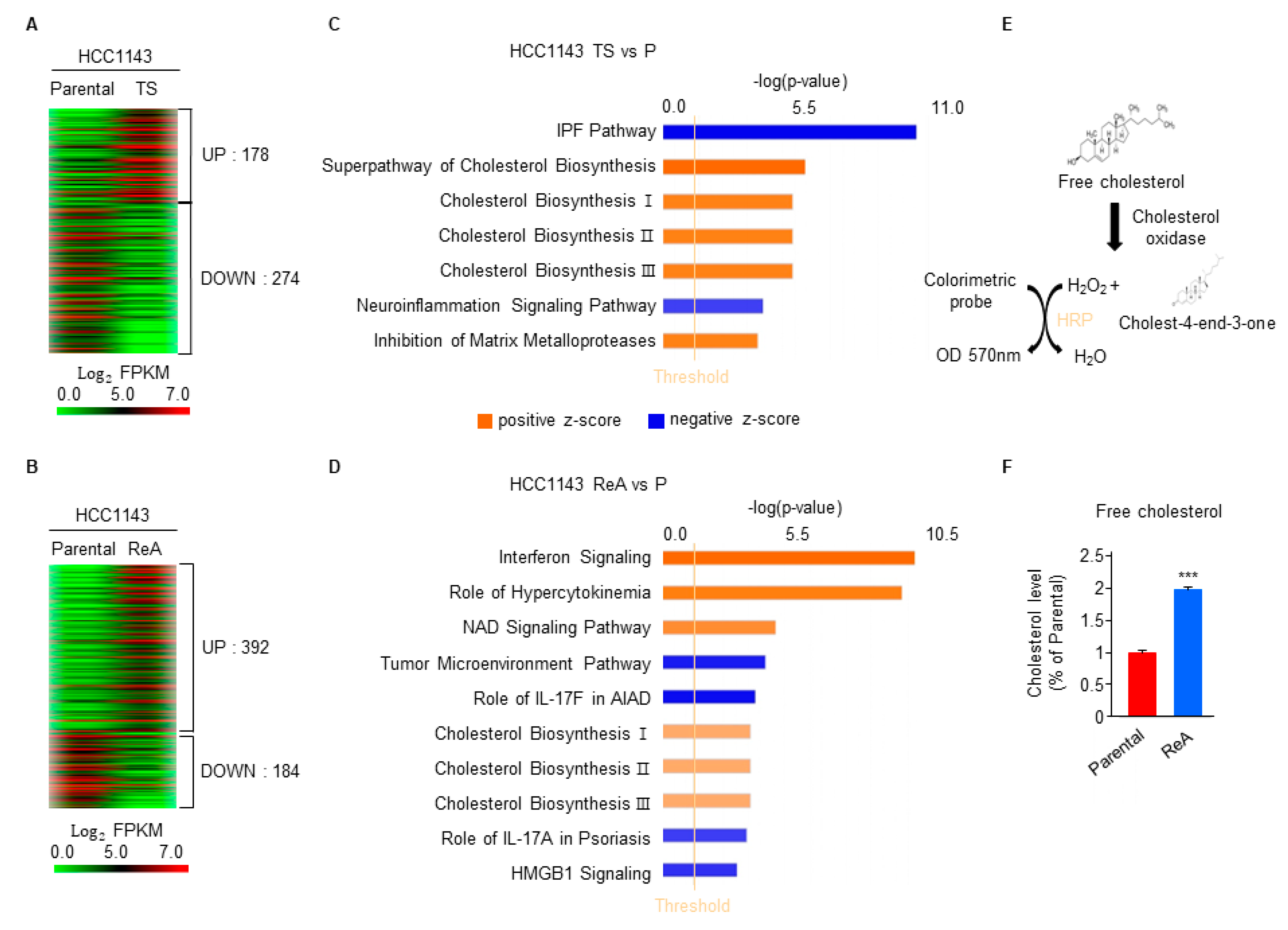 Biomedicines 10 01908 g003