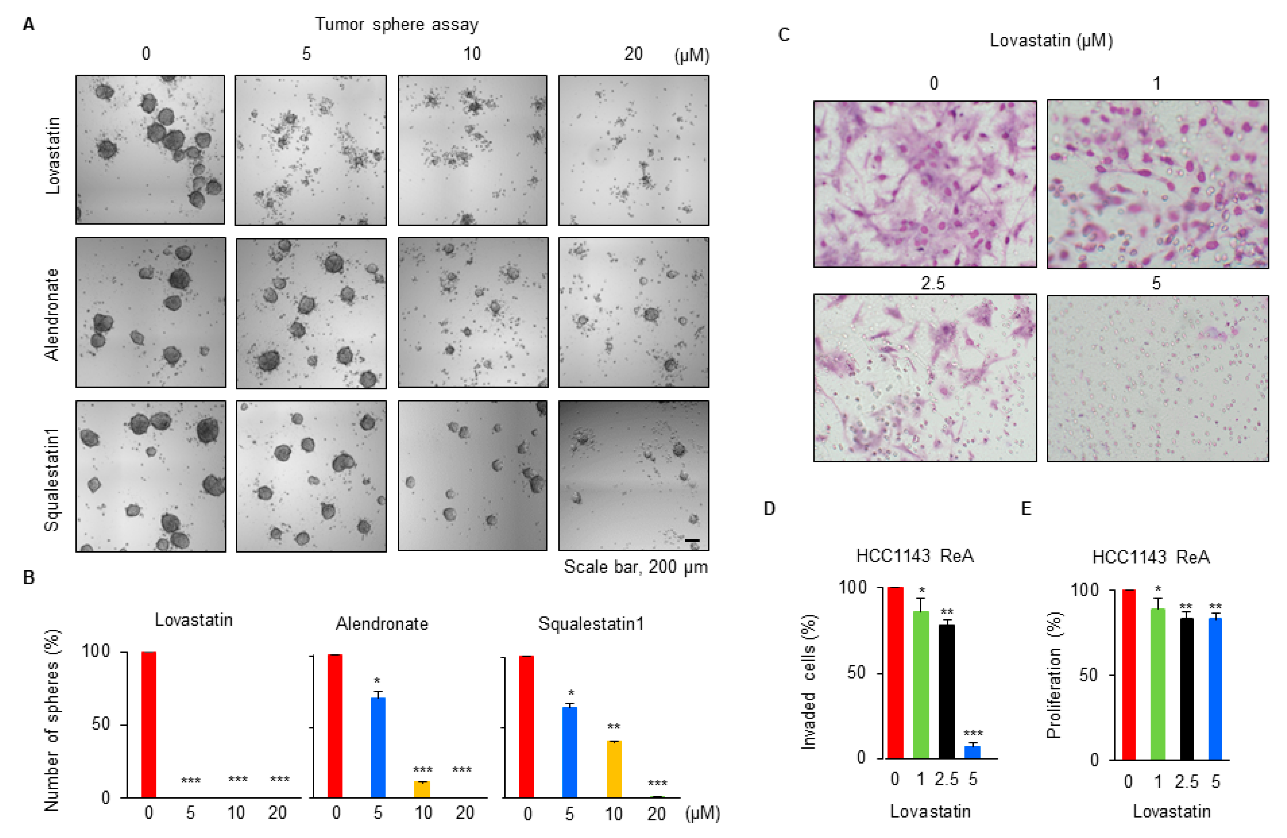Biomedicines 10 01908 g004