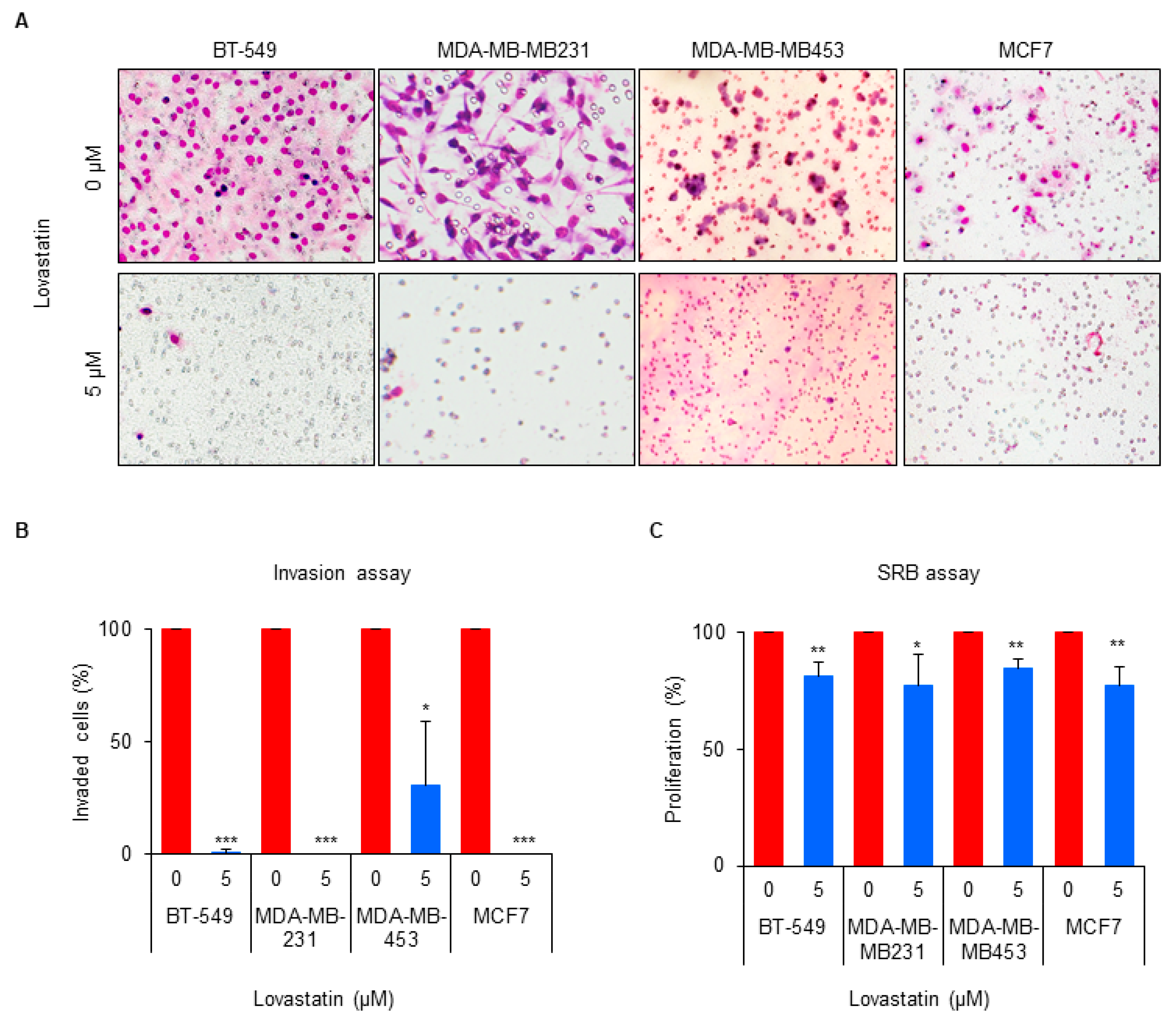 Biomedicines 10 01908 g005