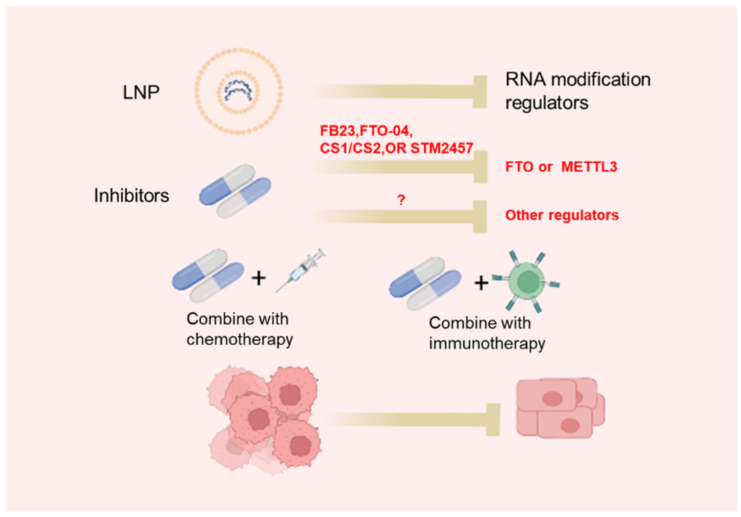 Biomedicines 10 01918 g002