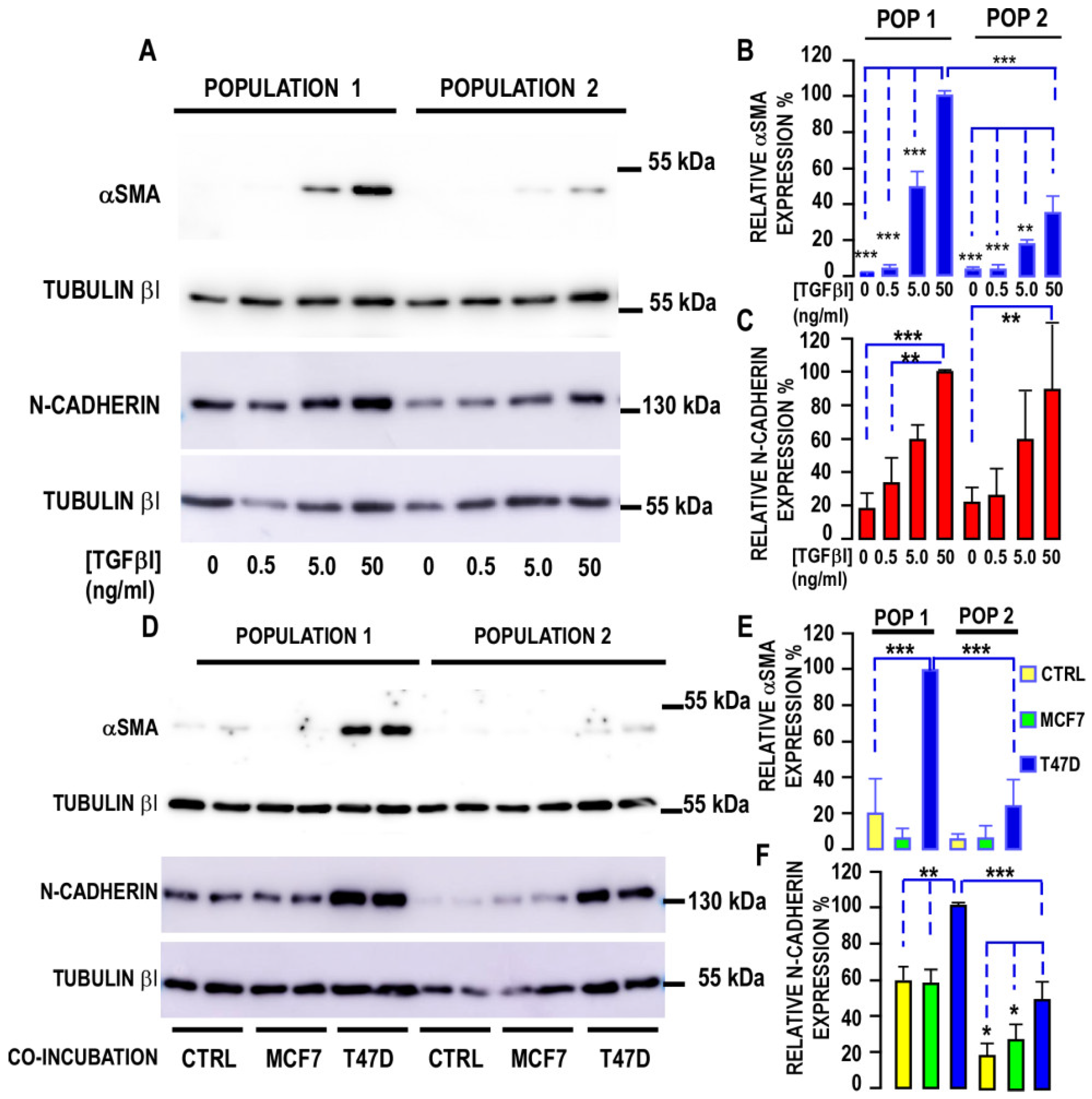 Biomedicines 10 01928 g003