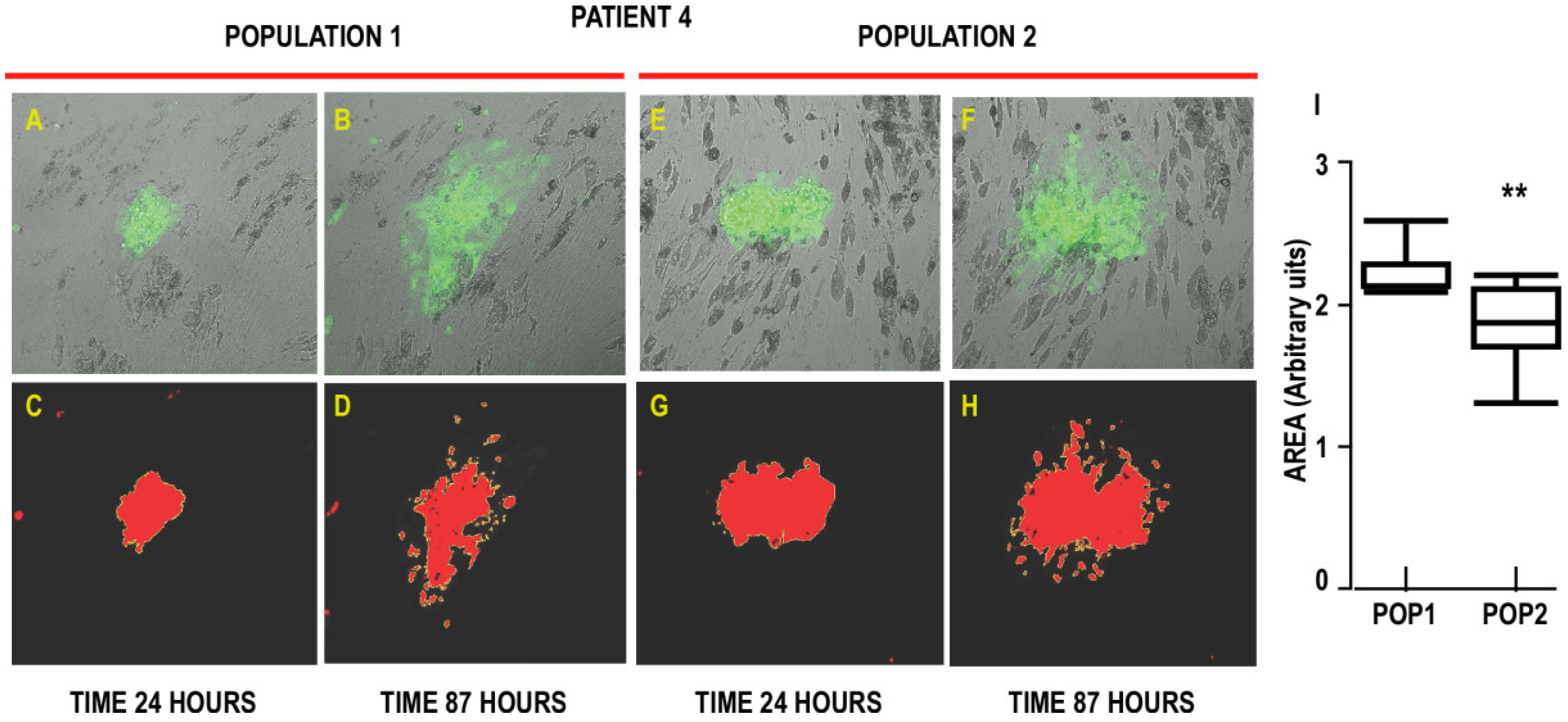 Biomedicines 10 01928 g005