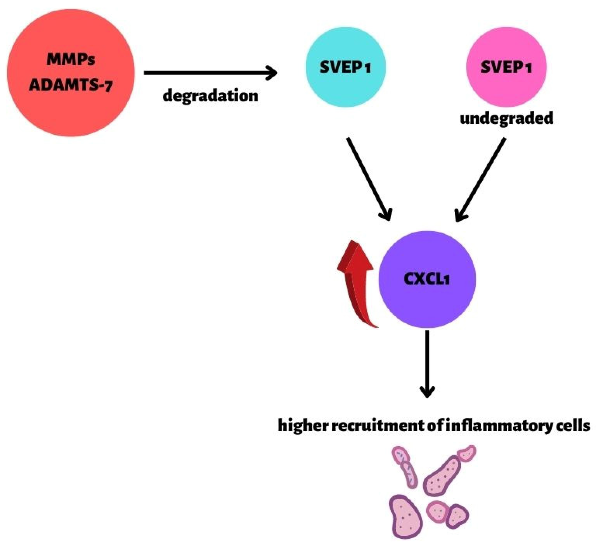Biomedicines 10 01938 g002