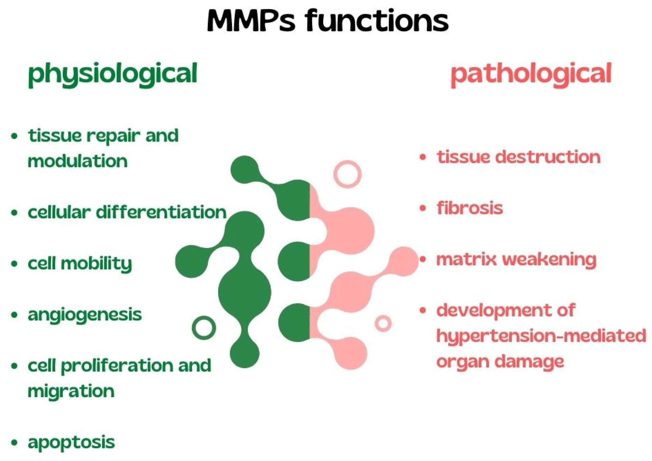 Biomedicines 10 01938 g003
