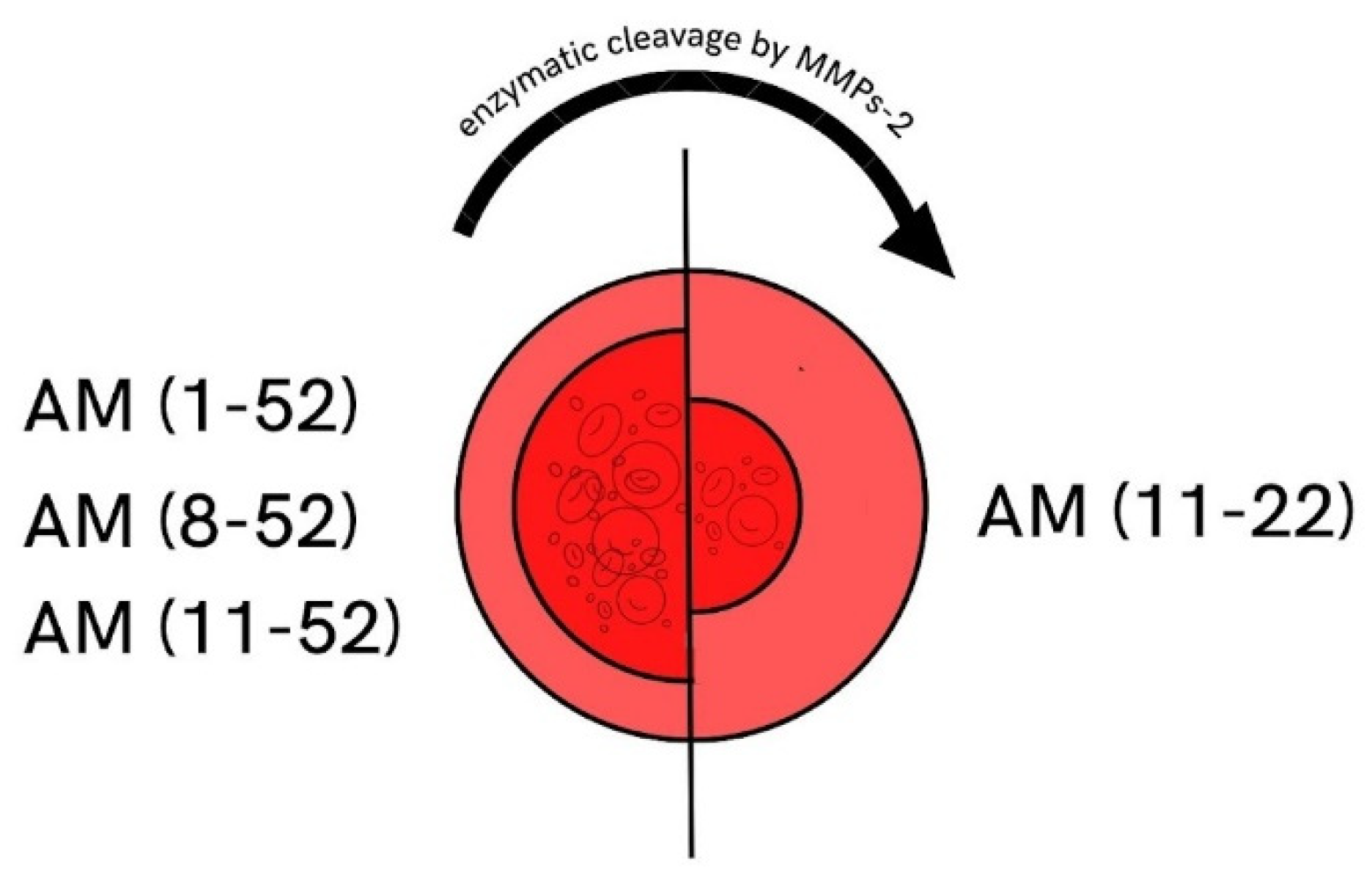 Biomedicines 10 01938 g004