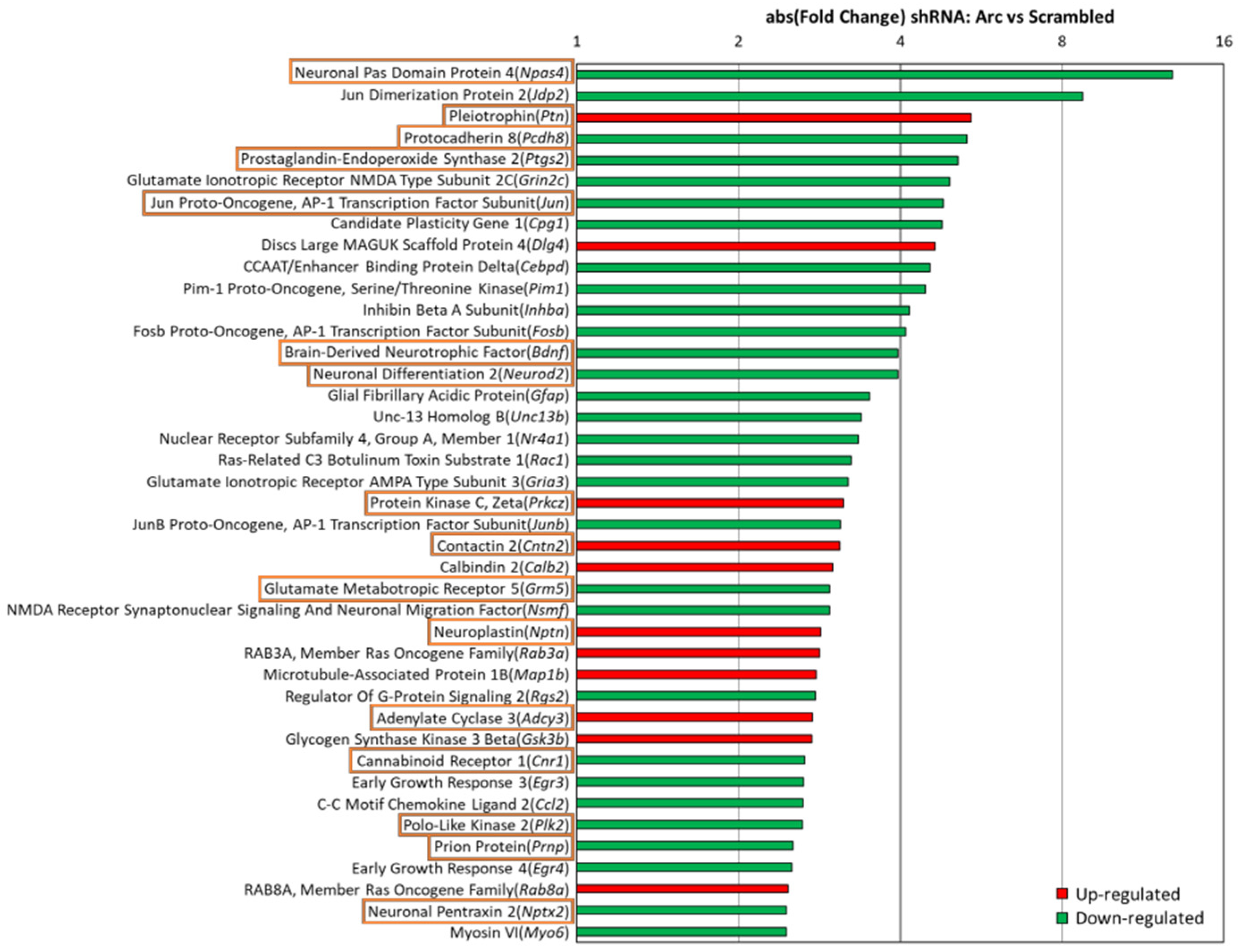 Biomedicines 10 01946 g010