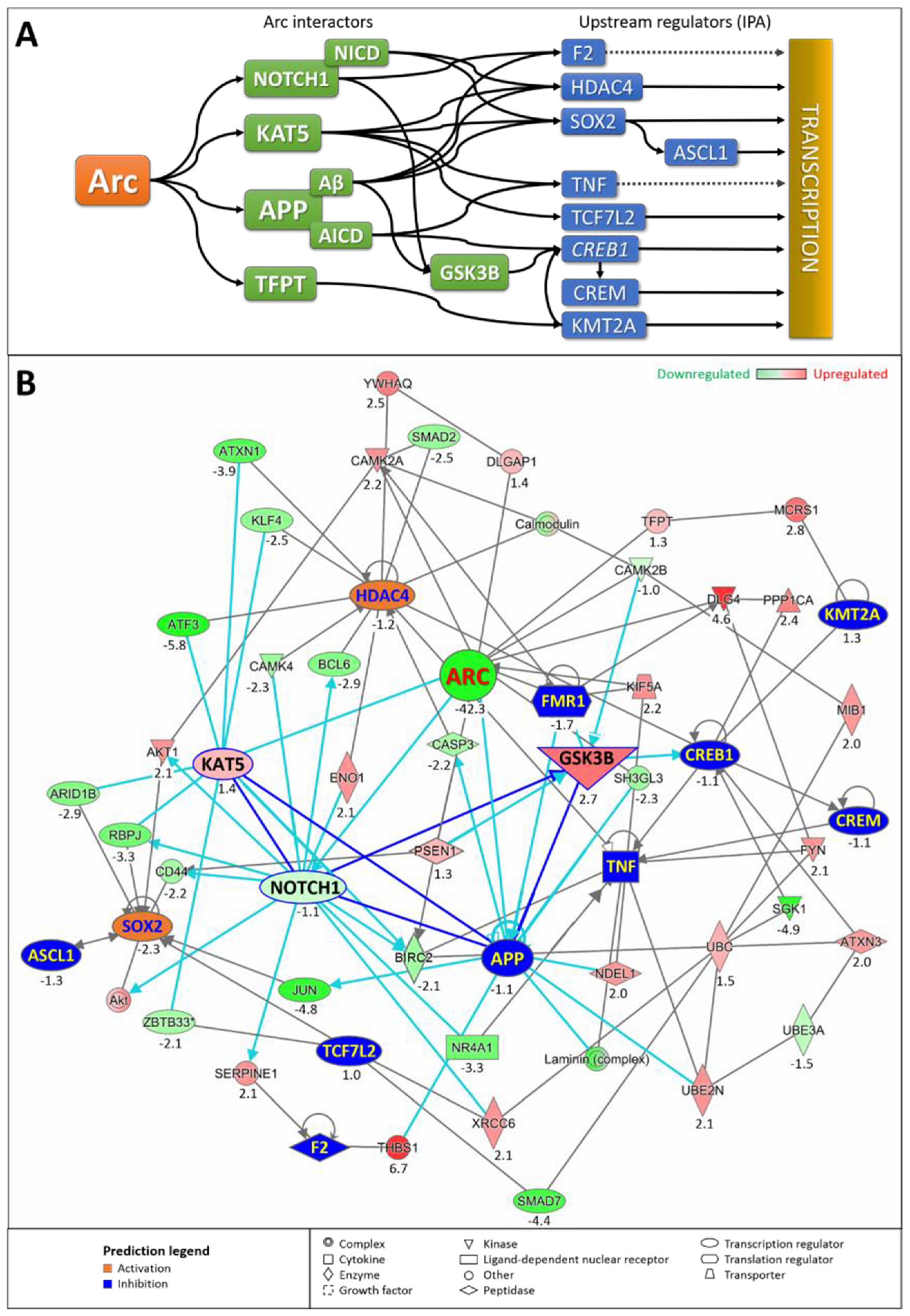 Biomedicines 10 01946 g020