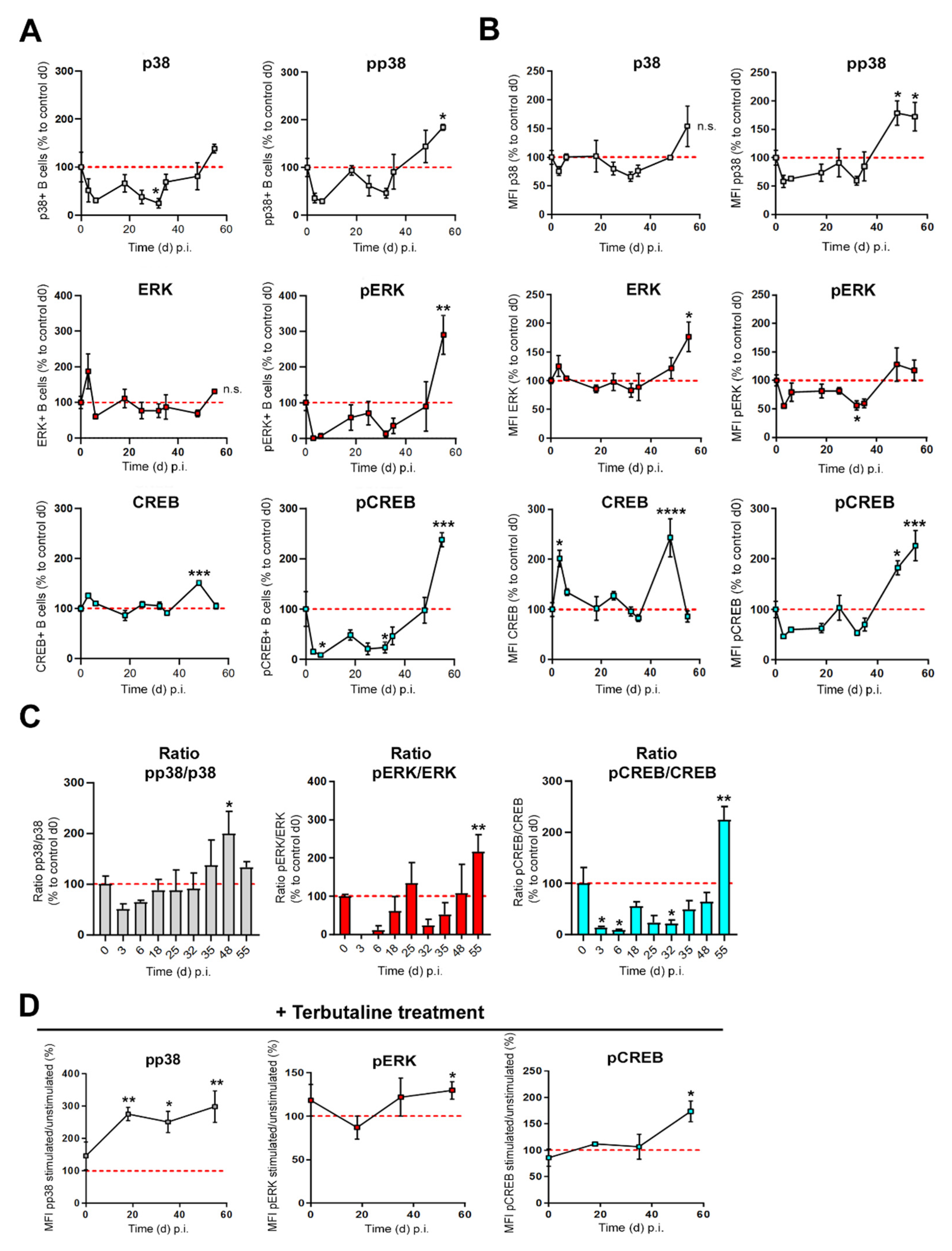 Biomedicines 10 01950 g003