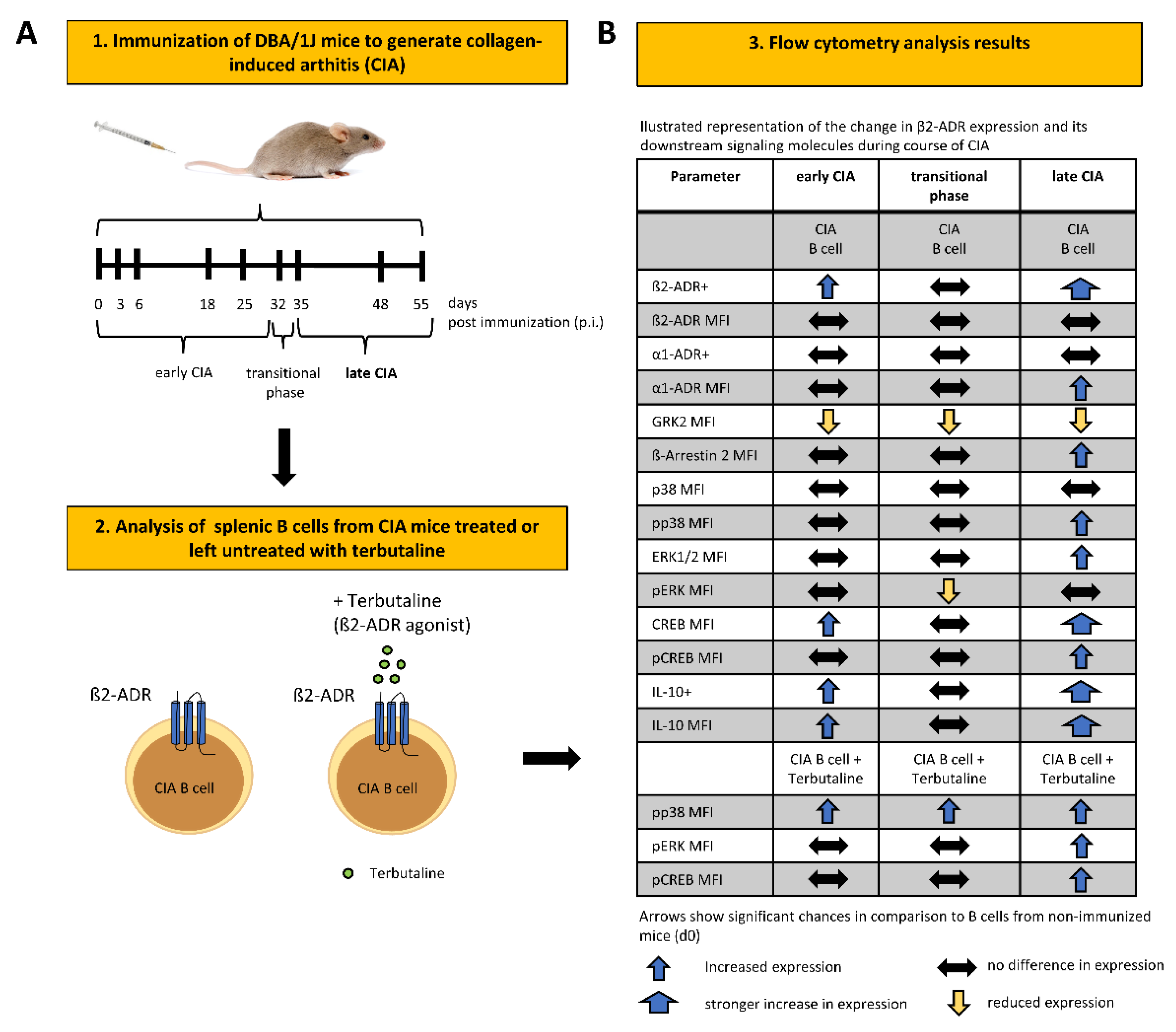 Biomedicines 10 01950 g004