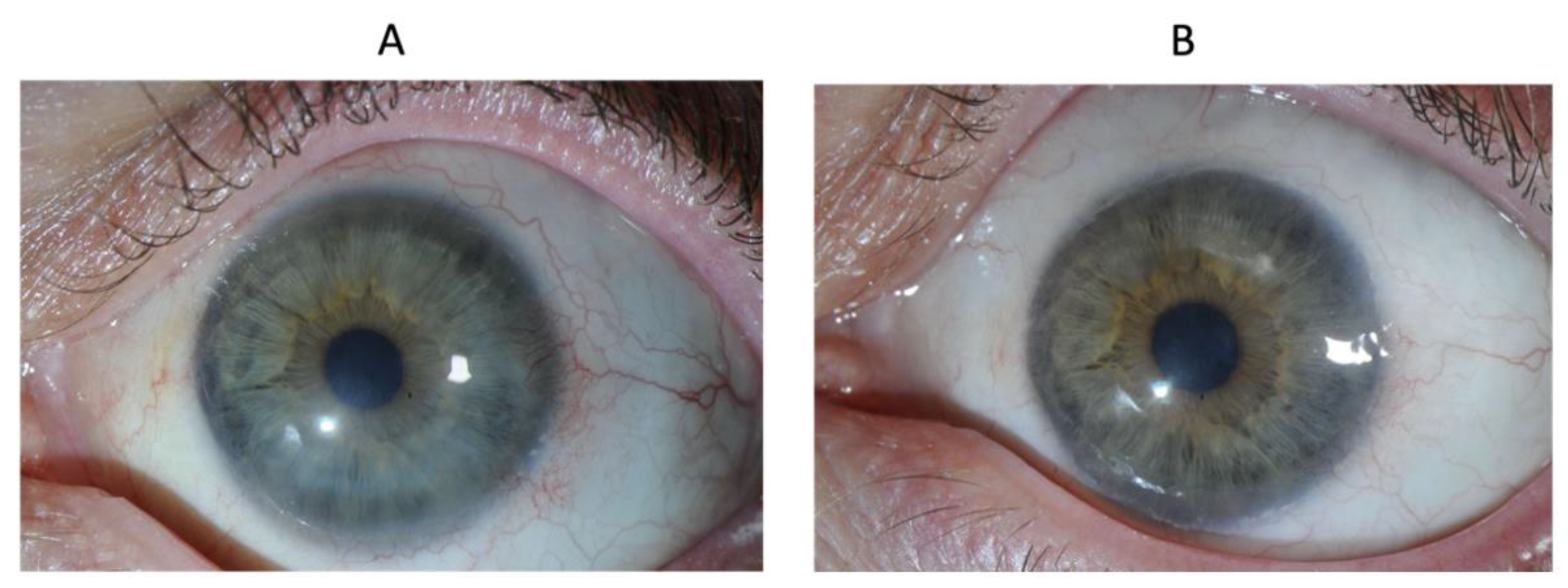 Biomedicines 10 01958 g006