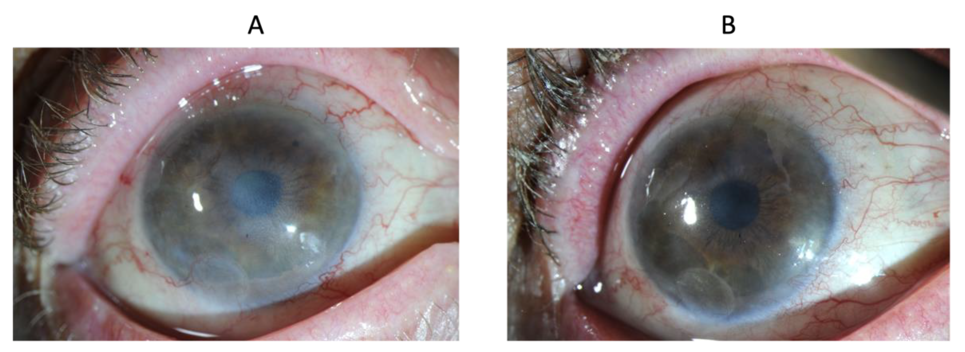 Biomedicines 10 01958 g008