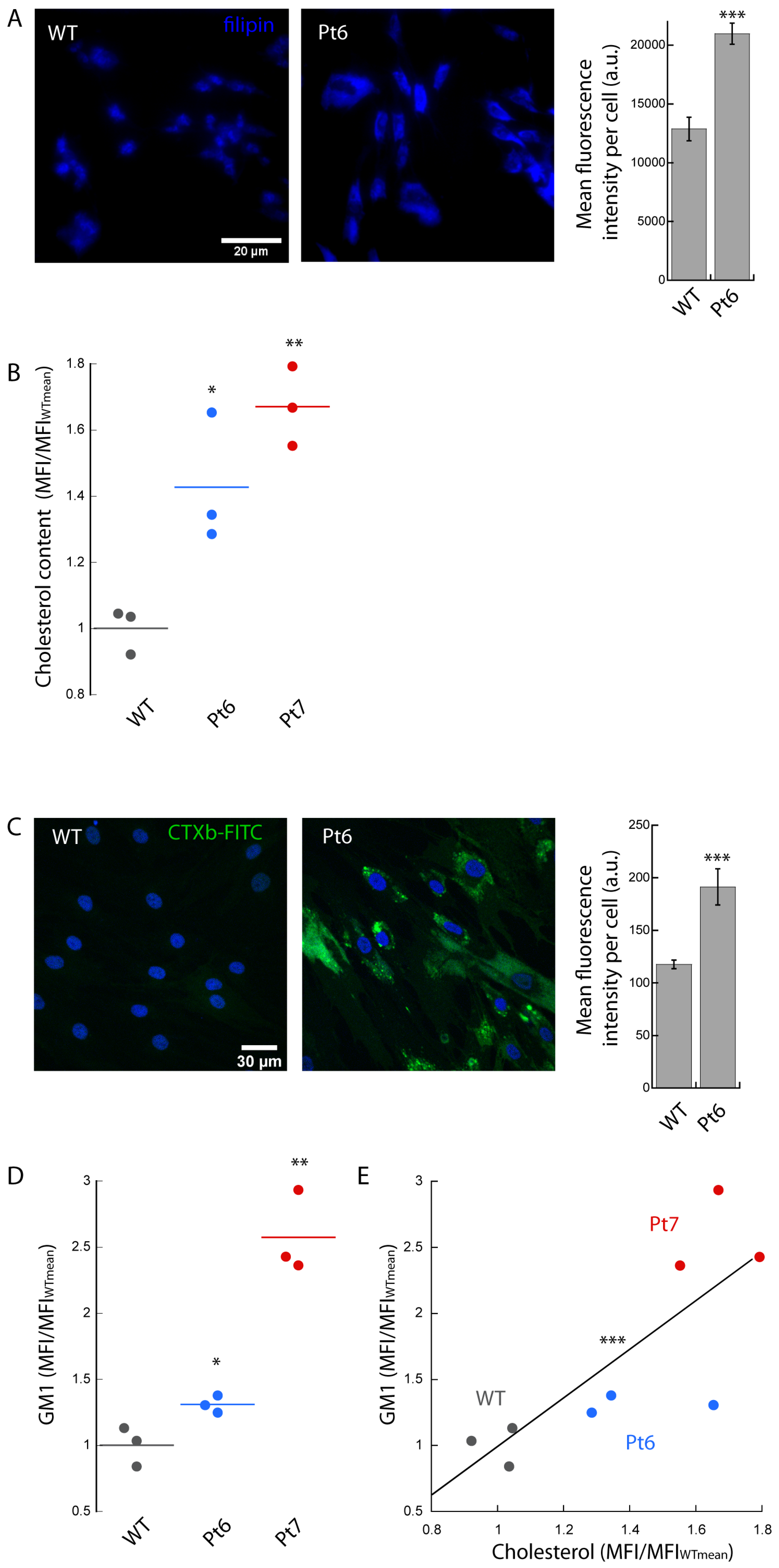 Biomedicines 10 01962 g003