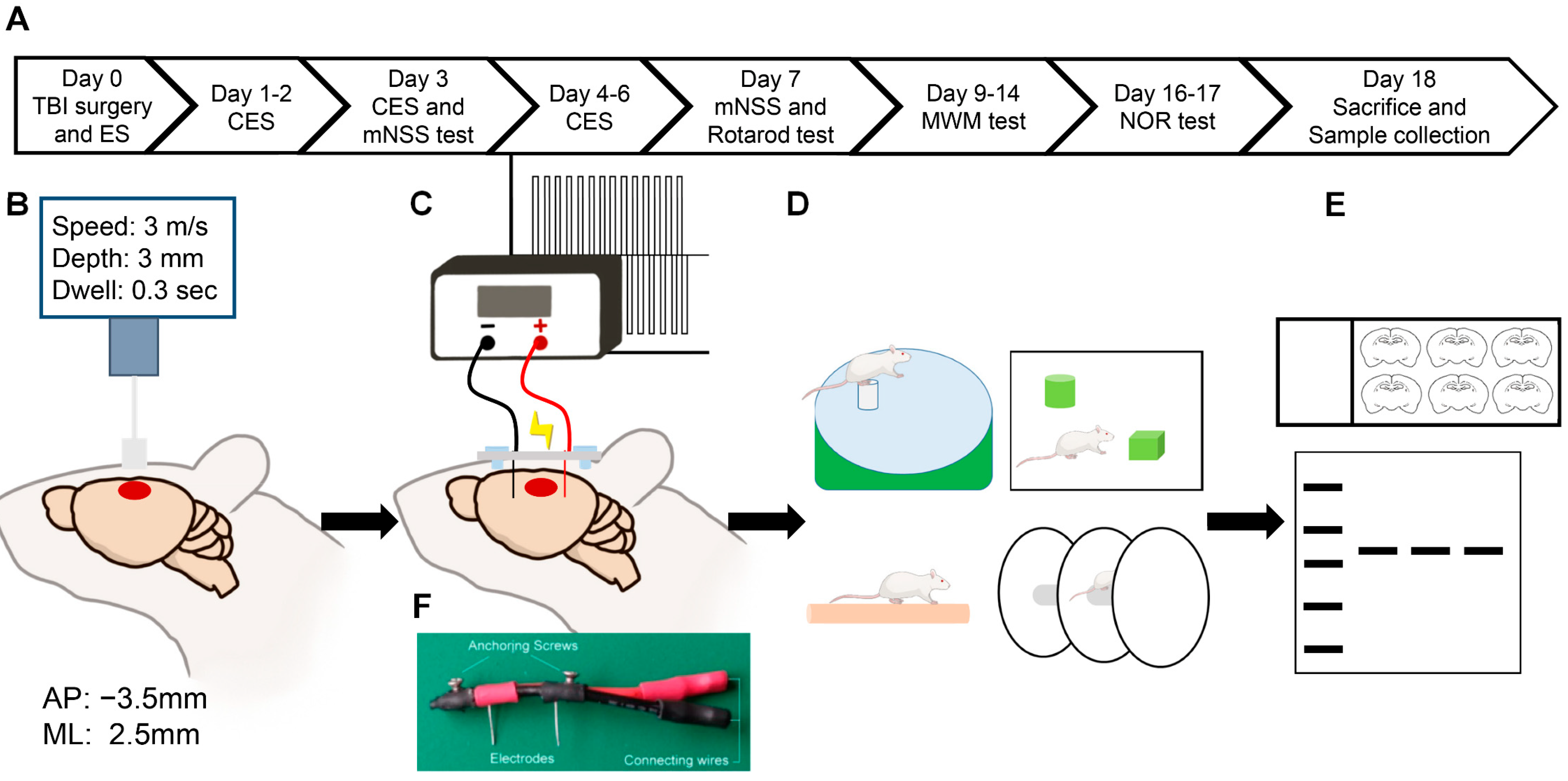 Biomedicines 10 01965 g001