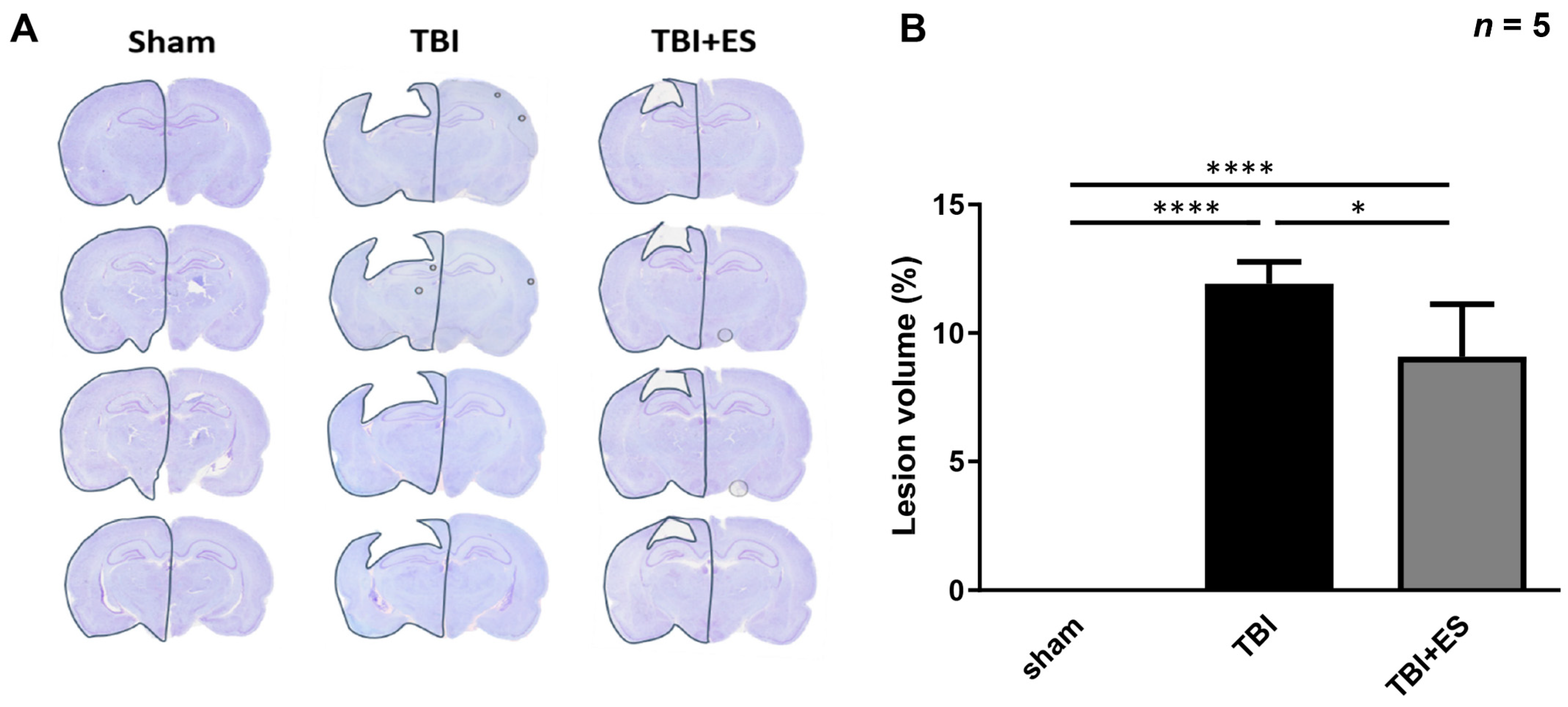 Biomedicines 10 01965 g003
