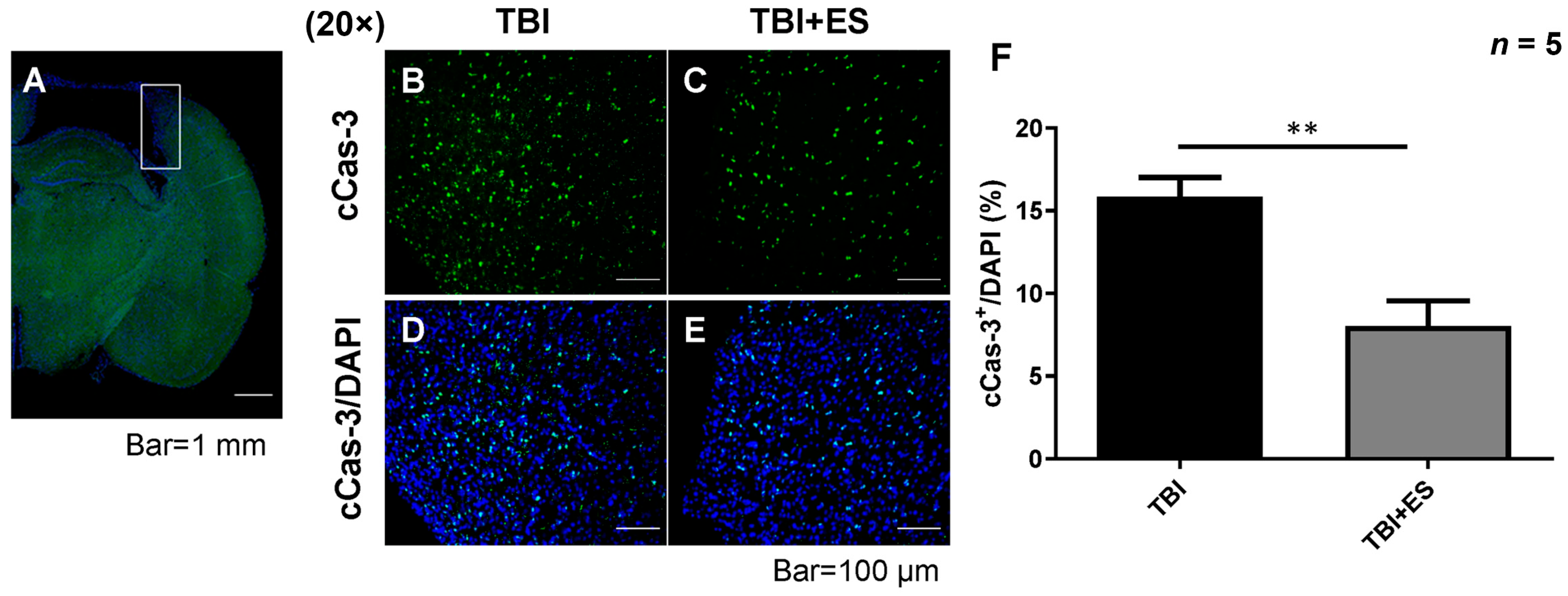 Biomedicines 10 01965 g004
