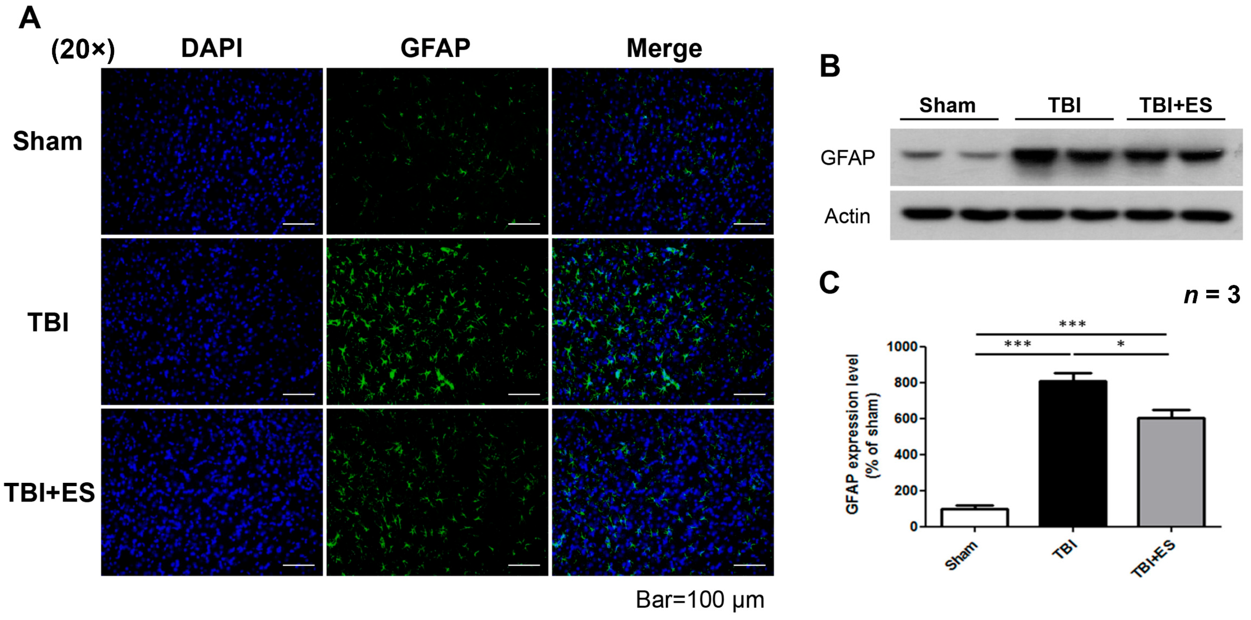 Biomedicines 10 01965 g005