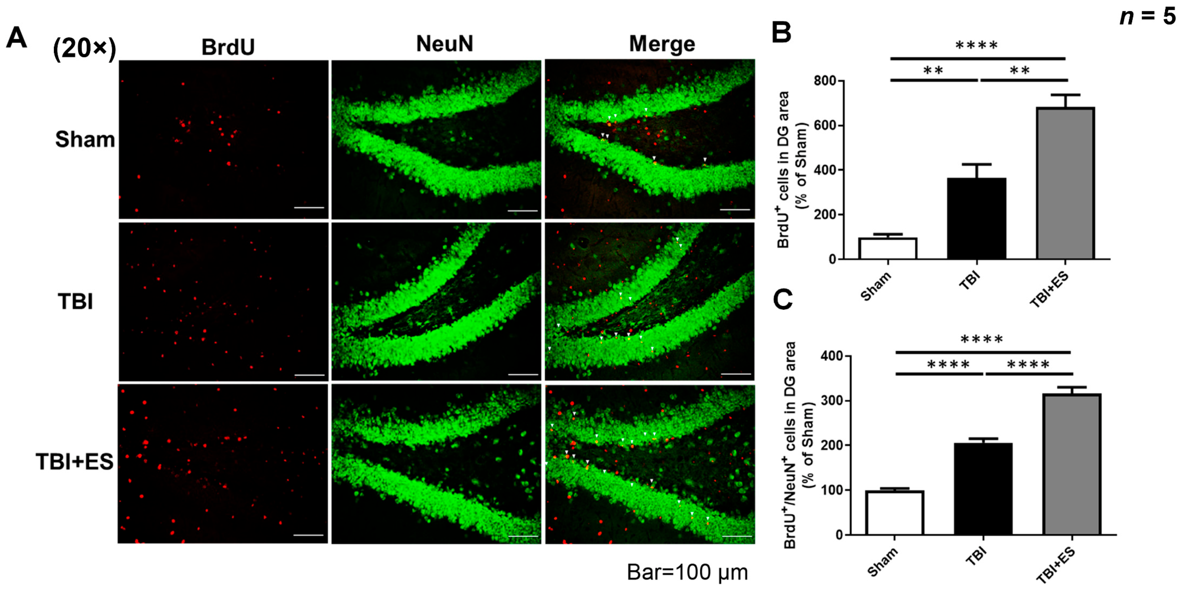 Biomedicines 10 01965 g006
