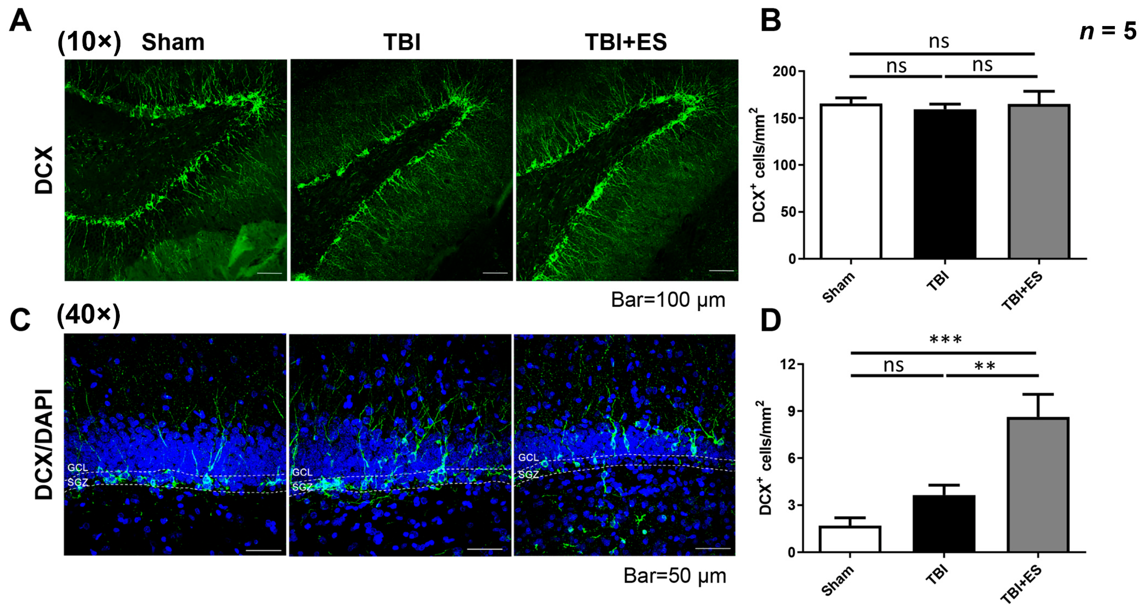 Biomedicines 10 01965 g007