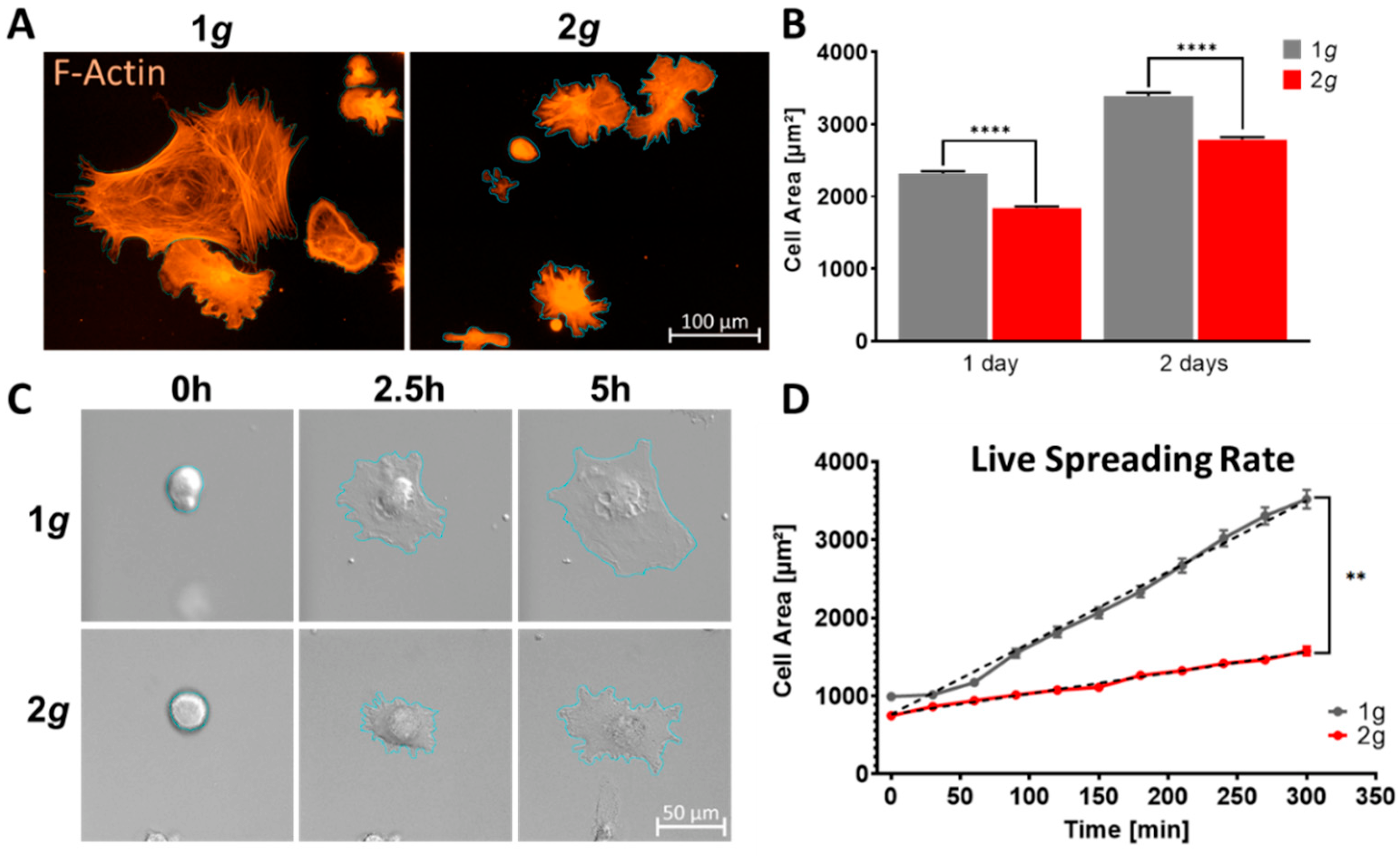 Biomedicines 10 01966 g002