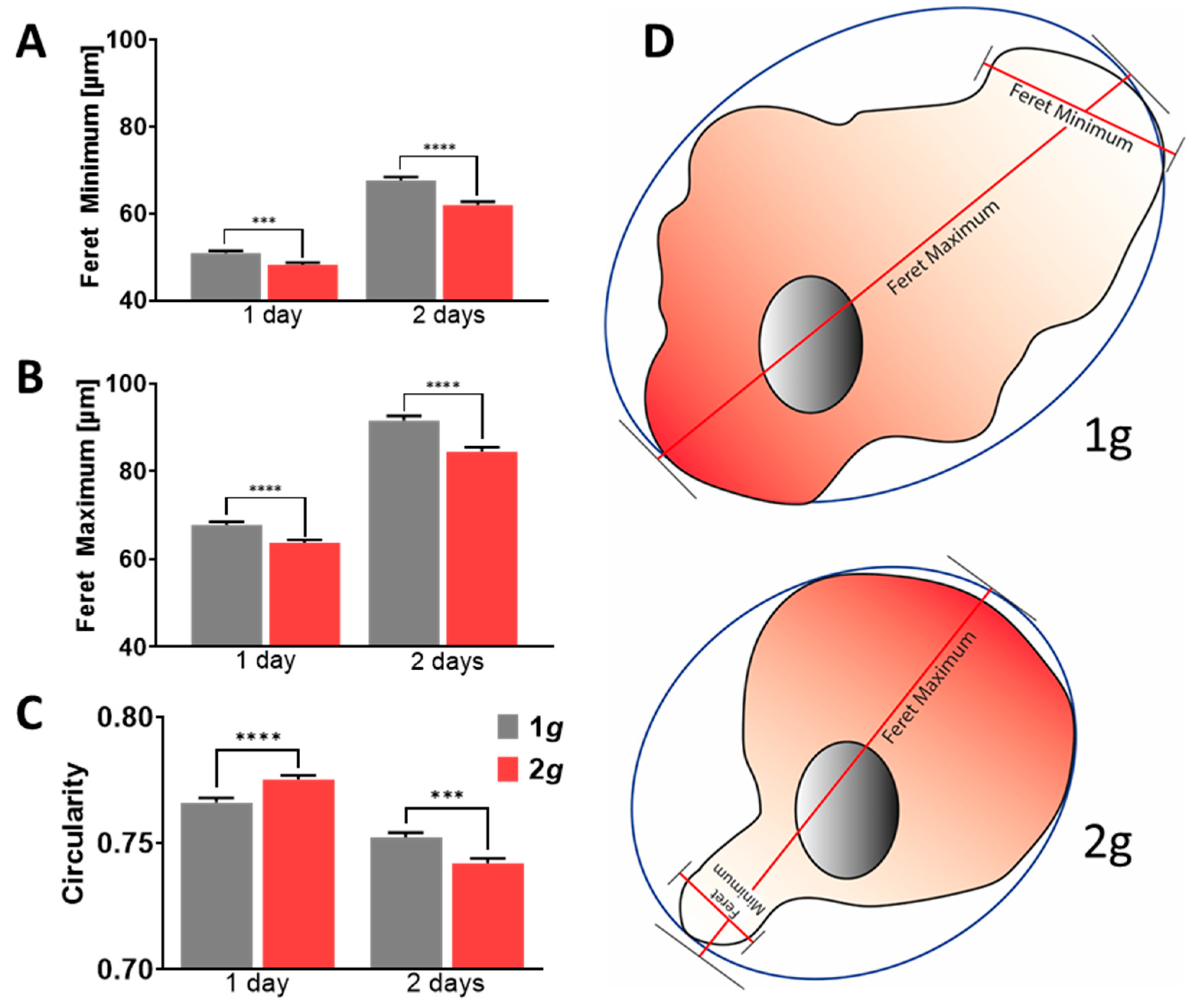 Biomedicines 10 01966 g005