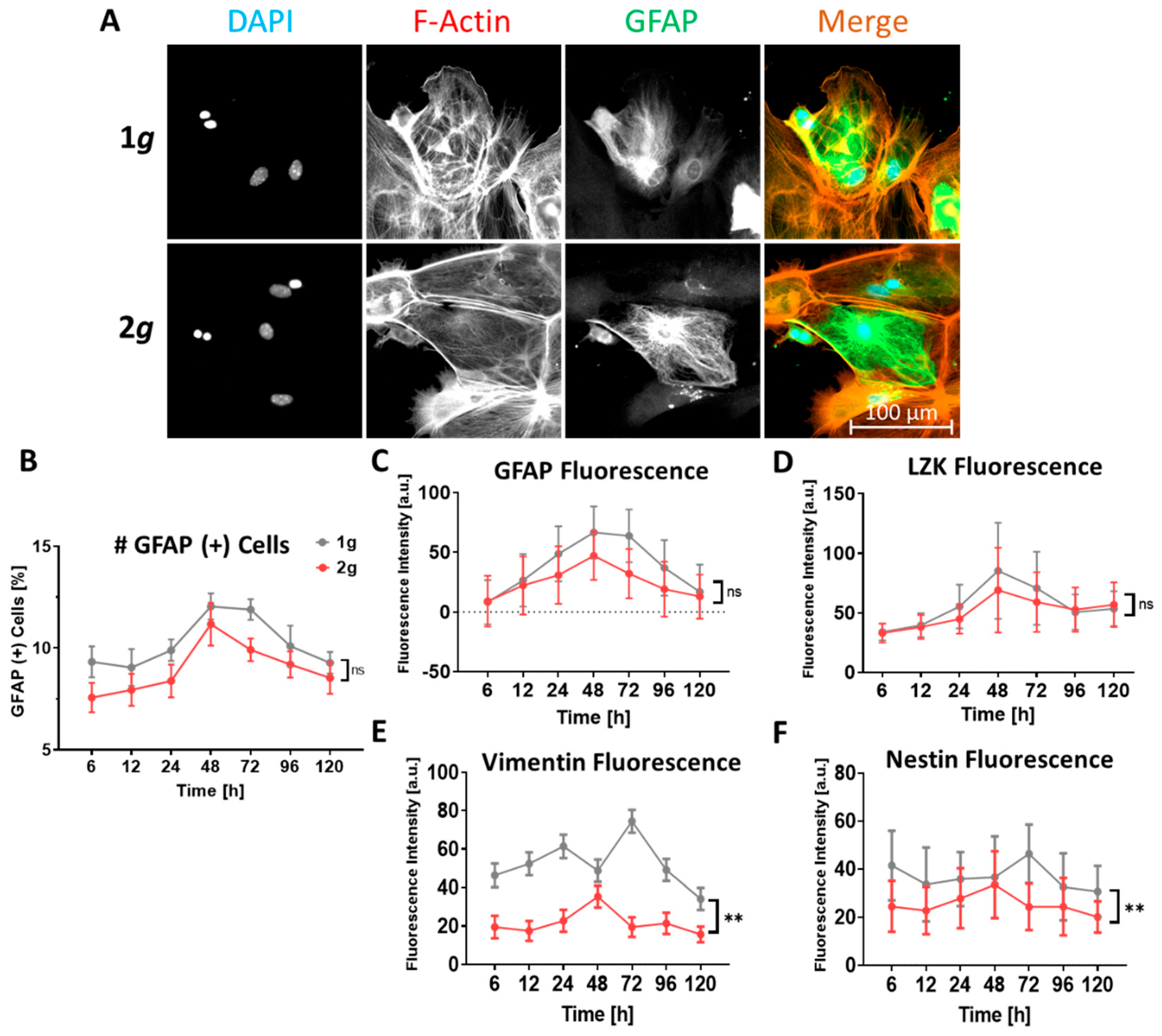 Biomedicines 10 01966 g011