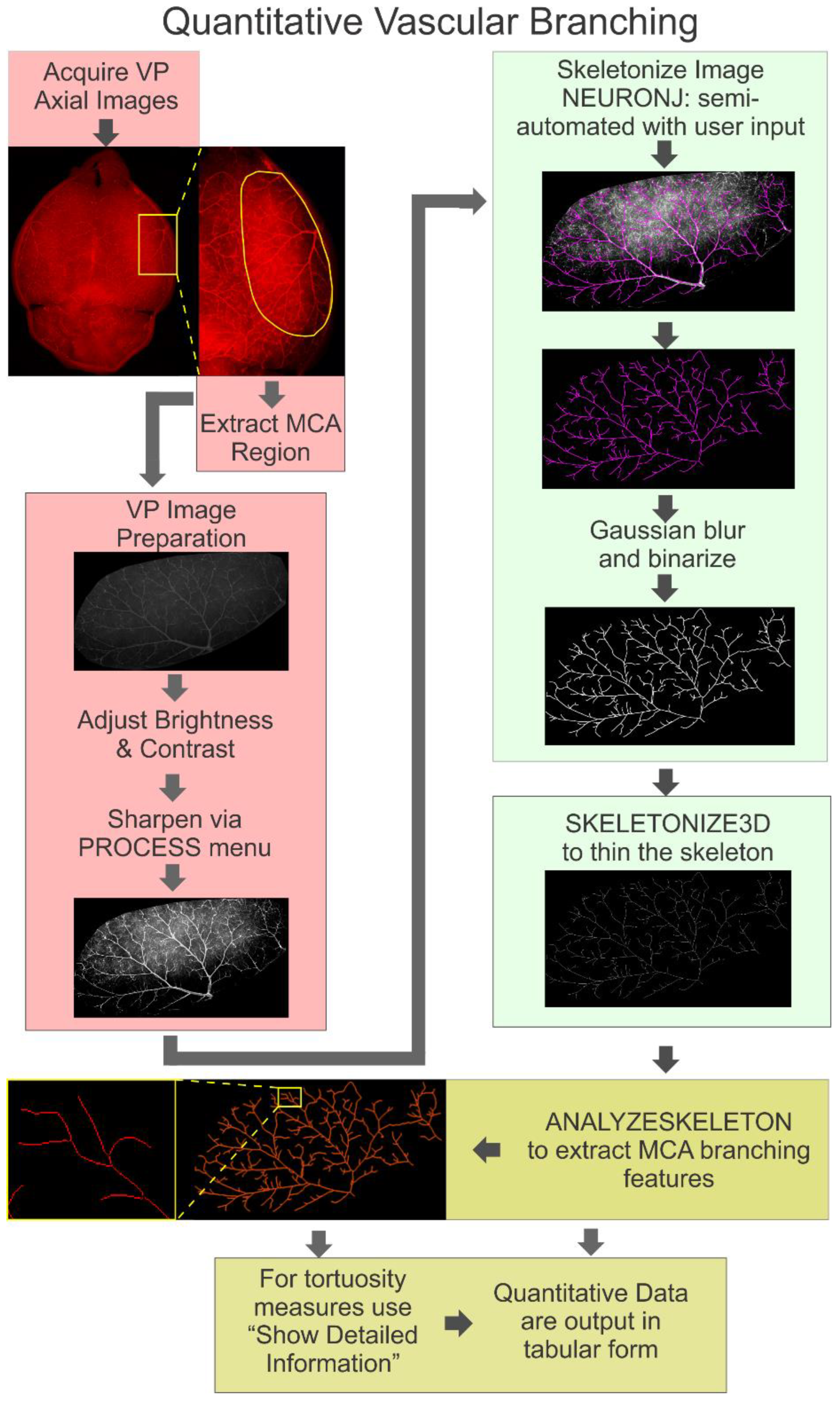 Biomedicines 10 01967 g001