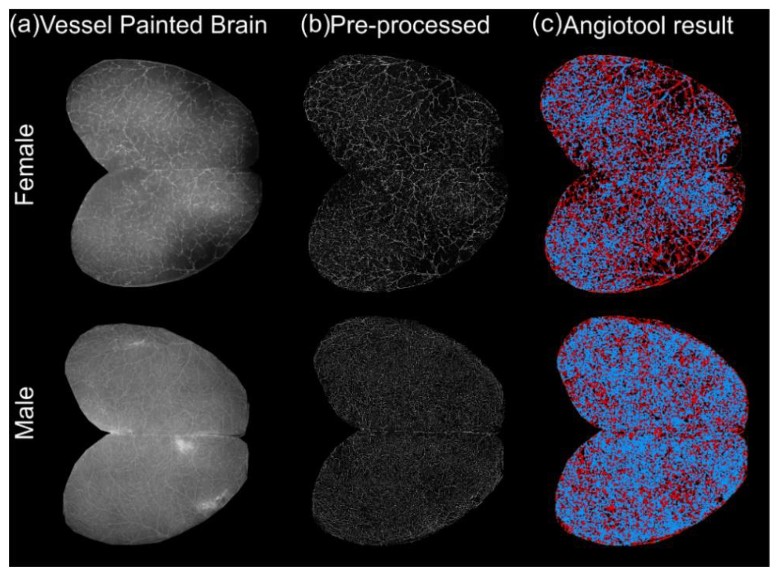 Biomedicines 10 01967 g002