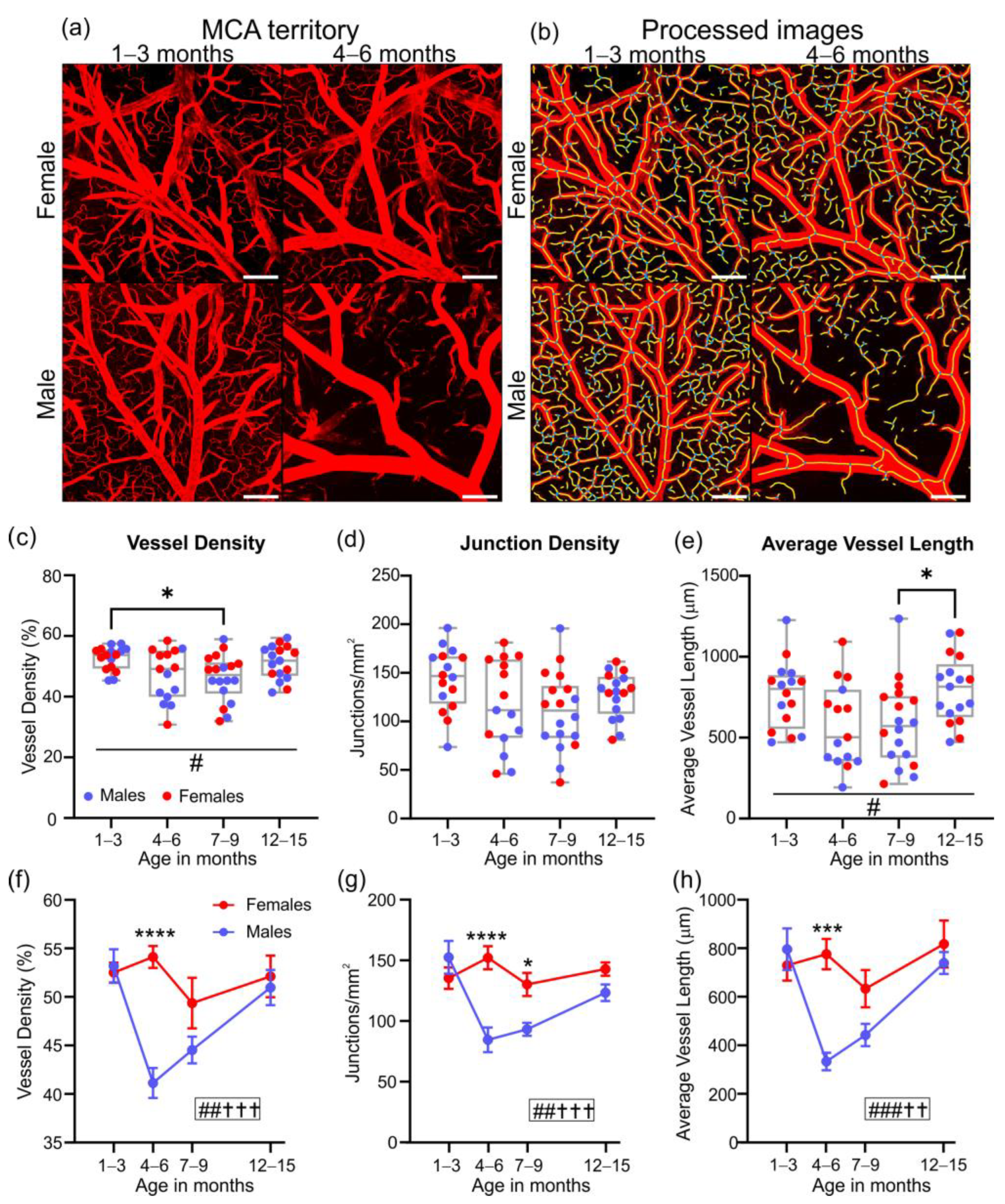 Biomedicines 10 01967 g006