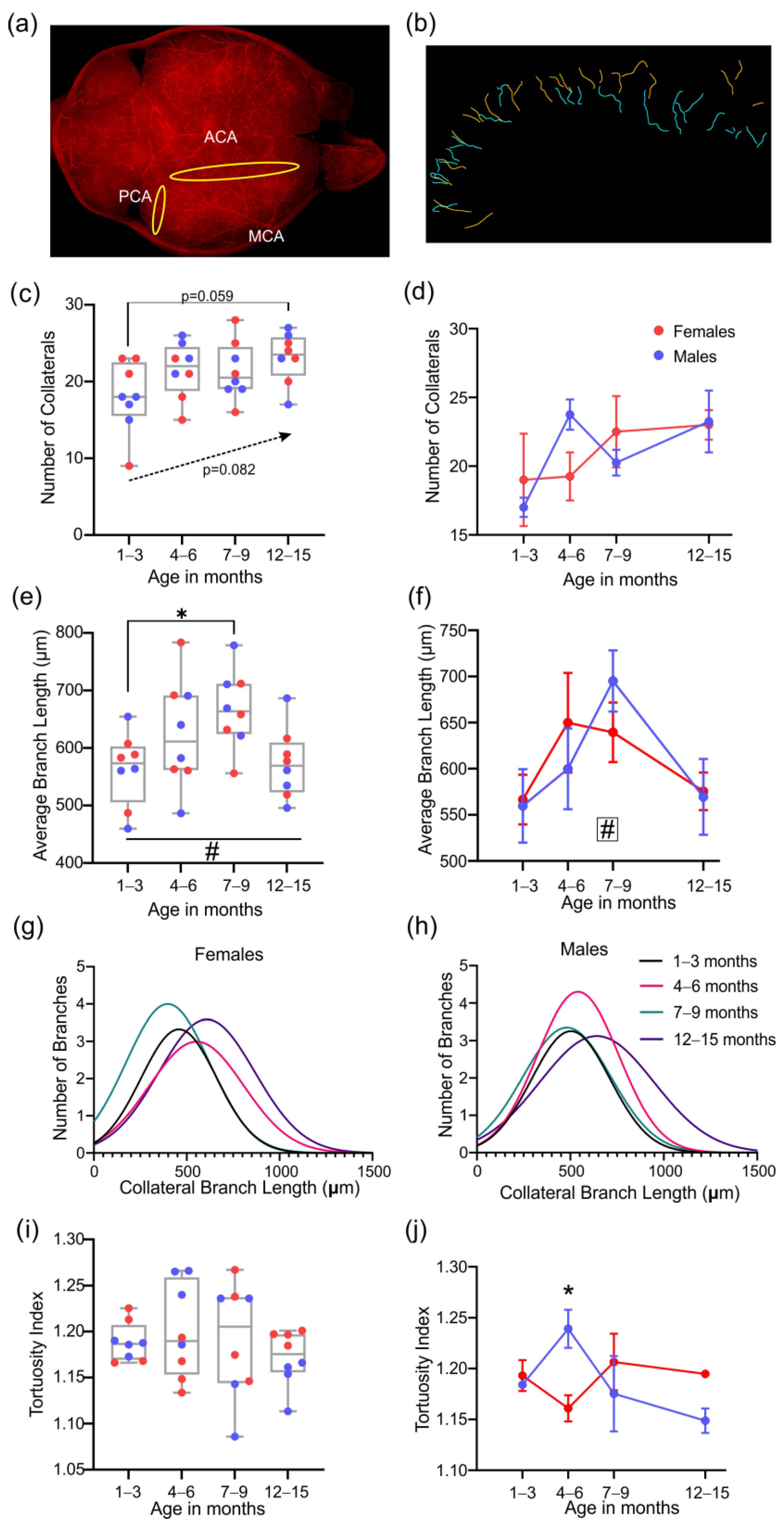 Biomedicines 10 01967 g008