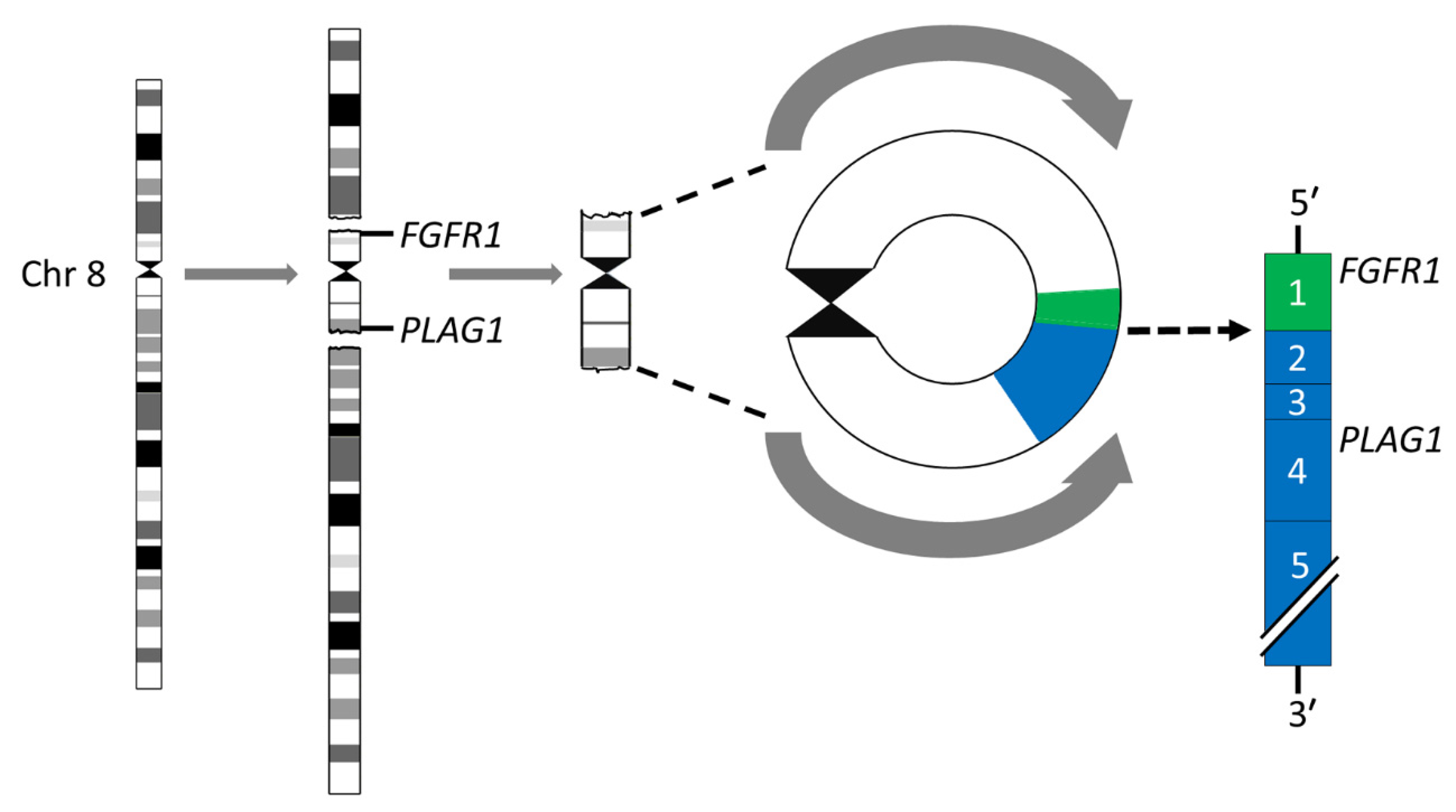 Biomedicines 10 01970 g002