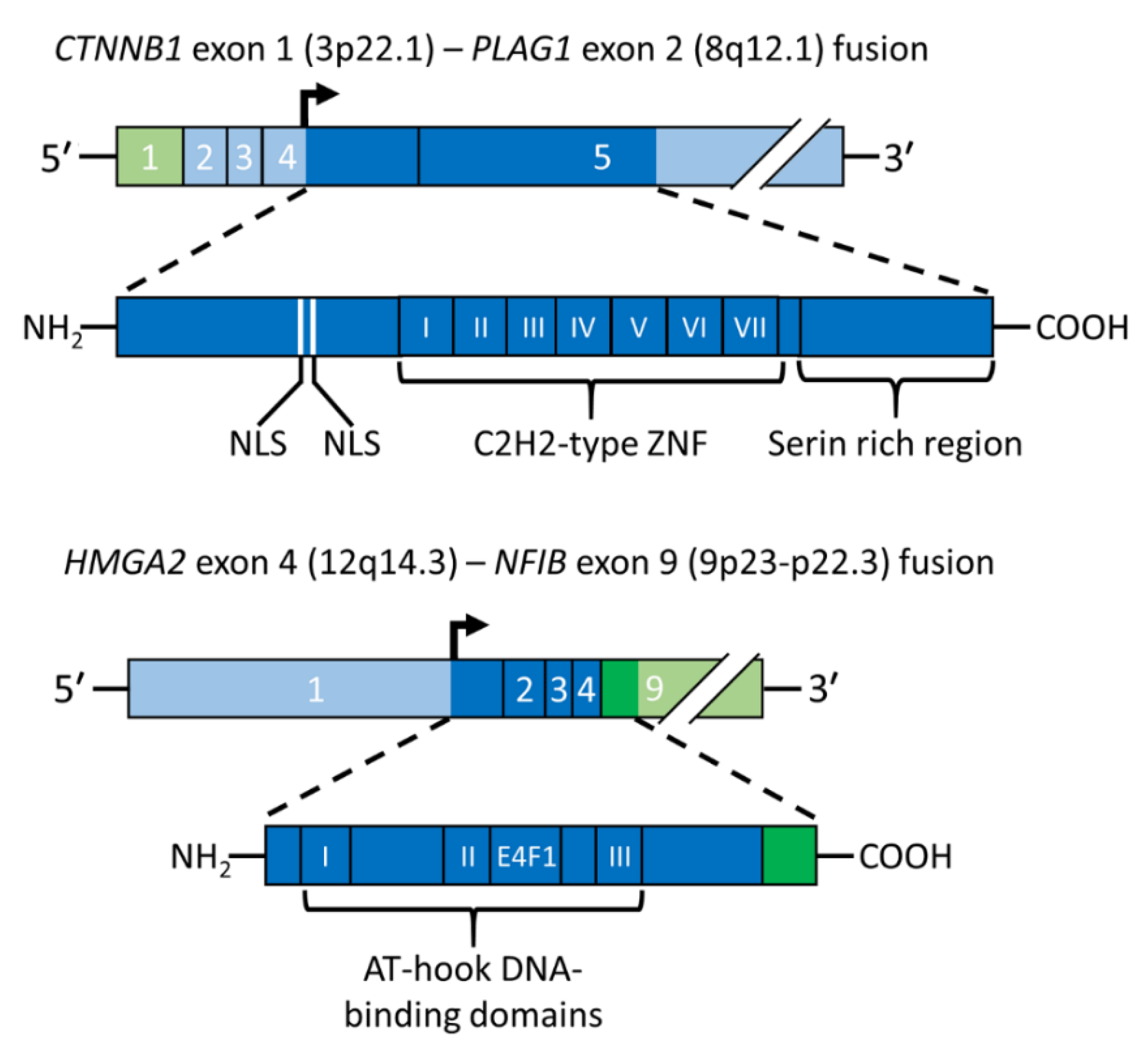 Biomedicines 10 01970 g003