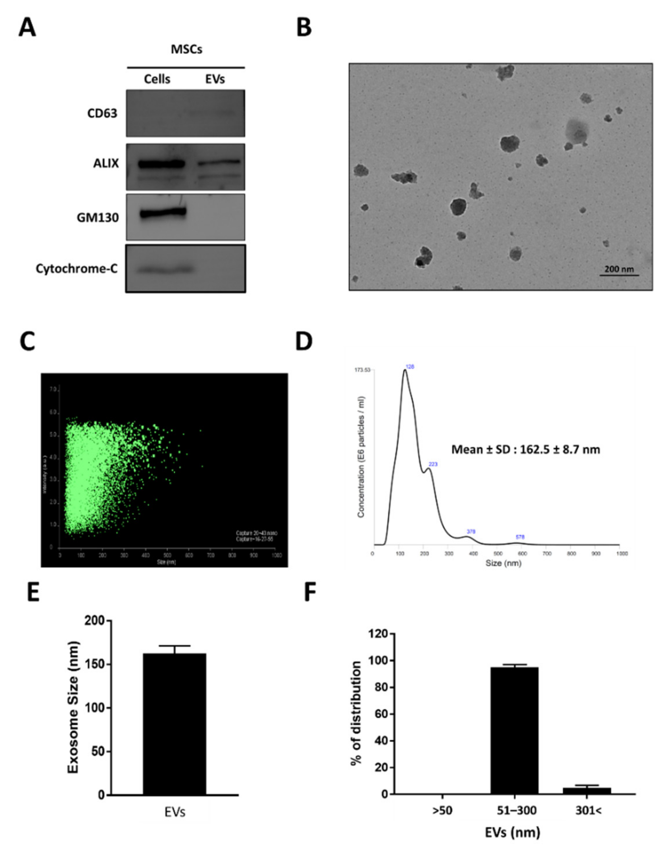Biomedicines 10 01978 g001