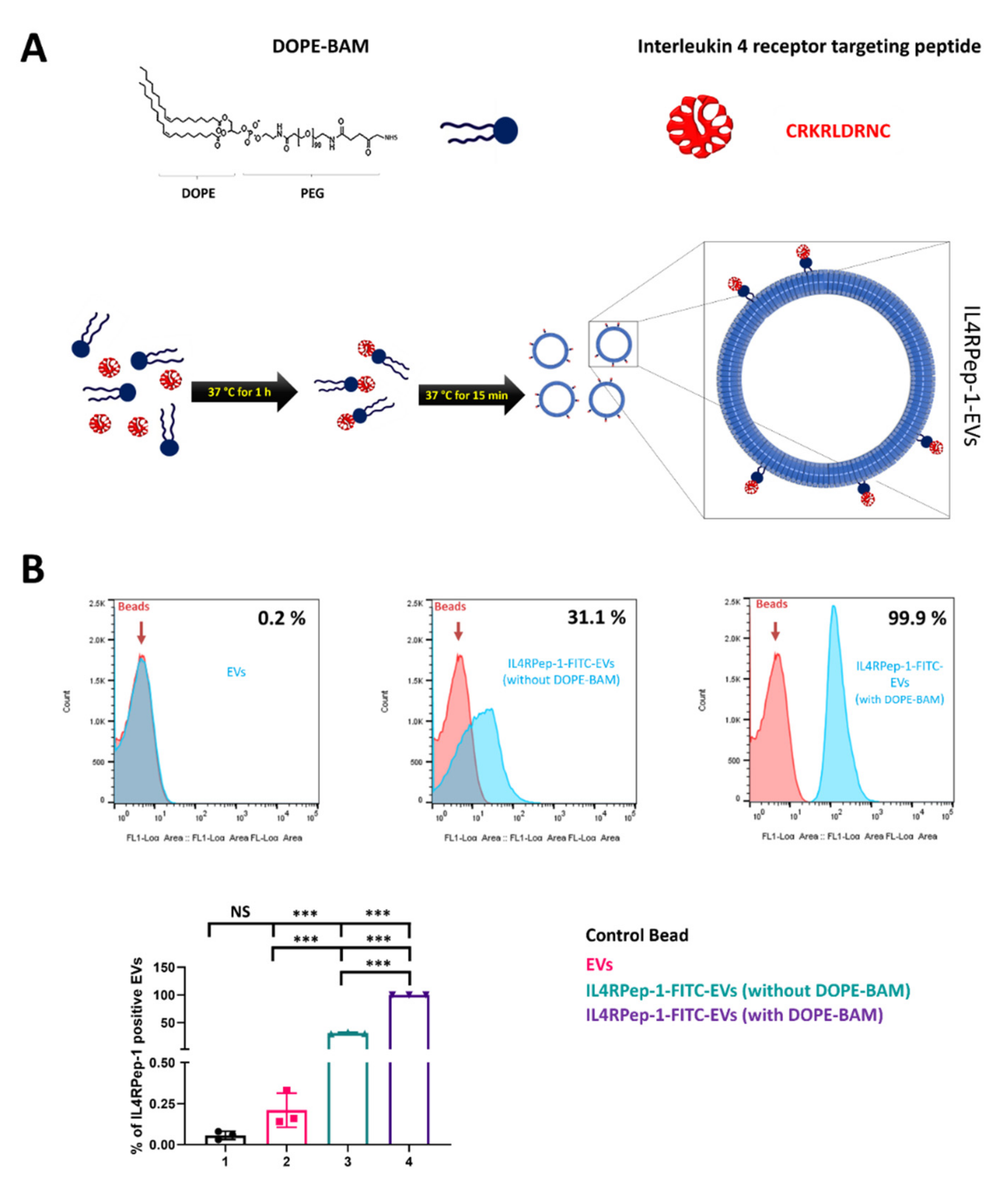 Biomedicines 10 01978 g002