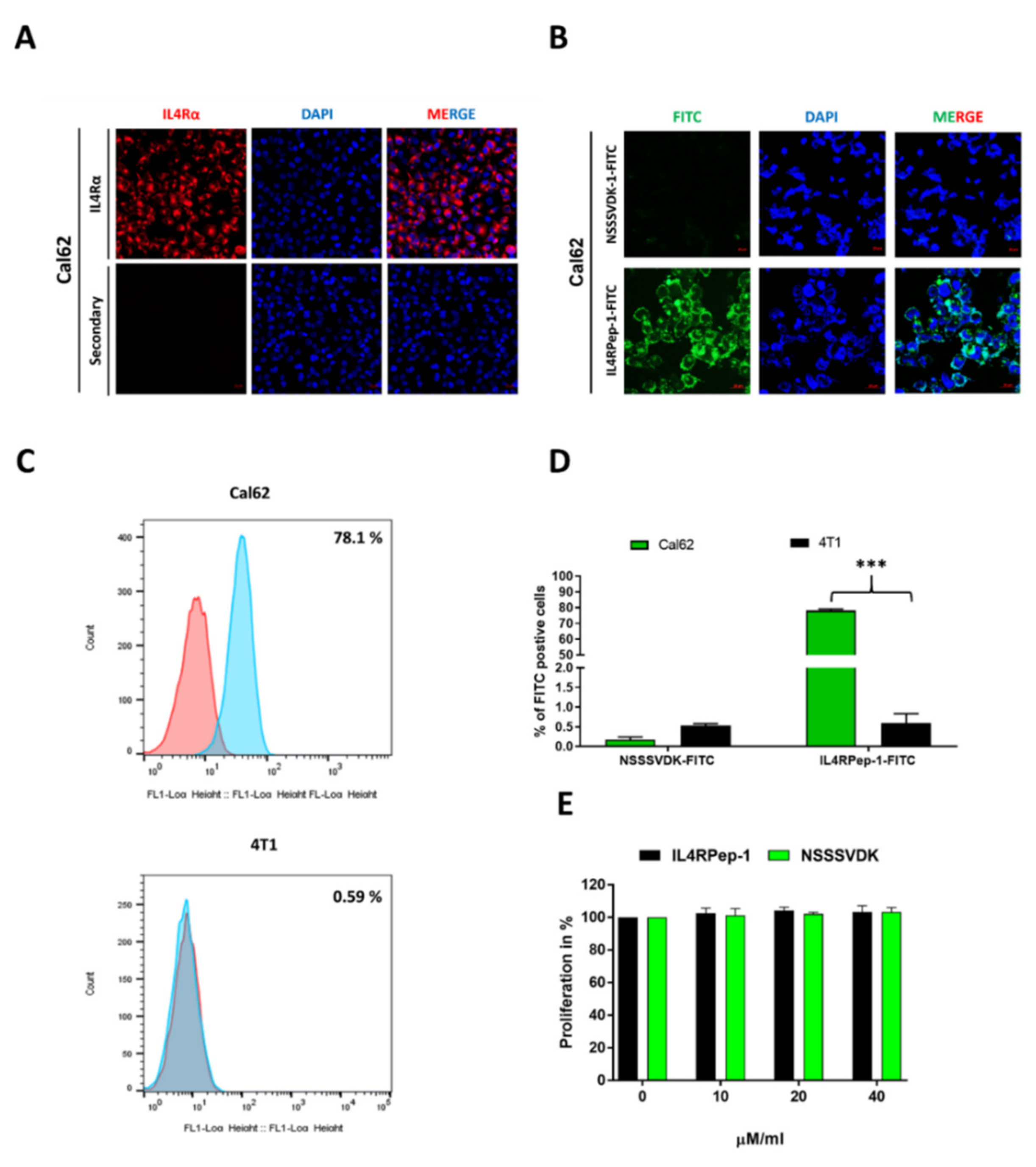 Biomedicines 10 01978 g004