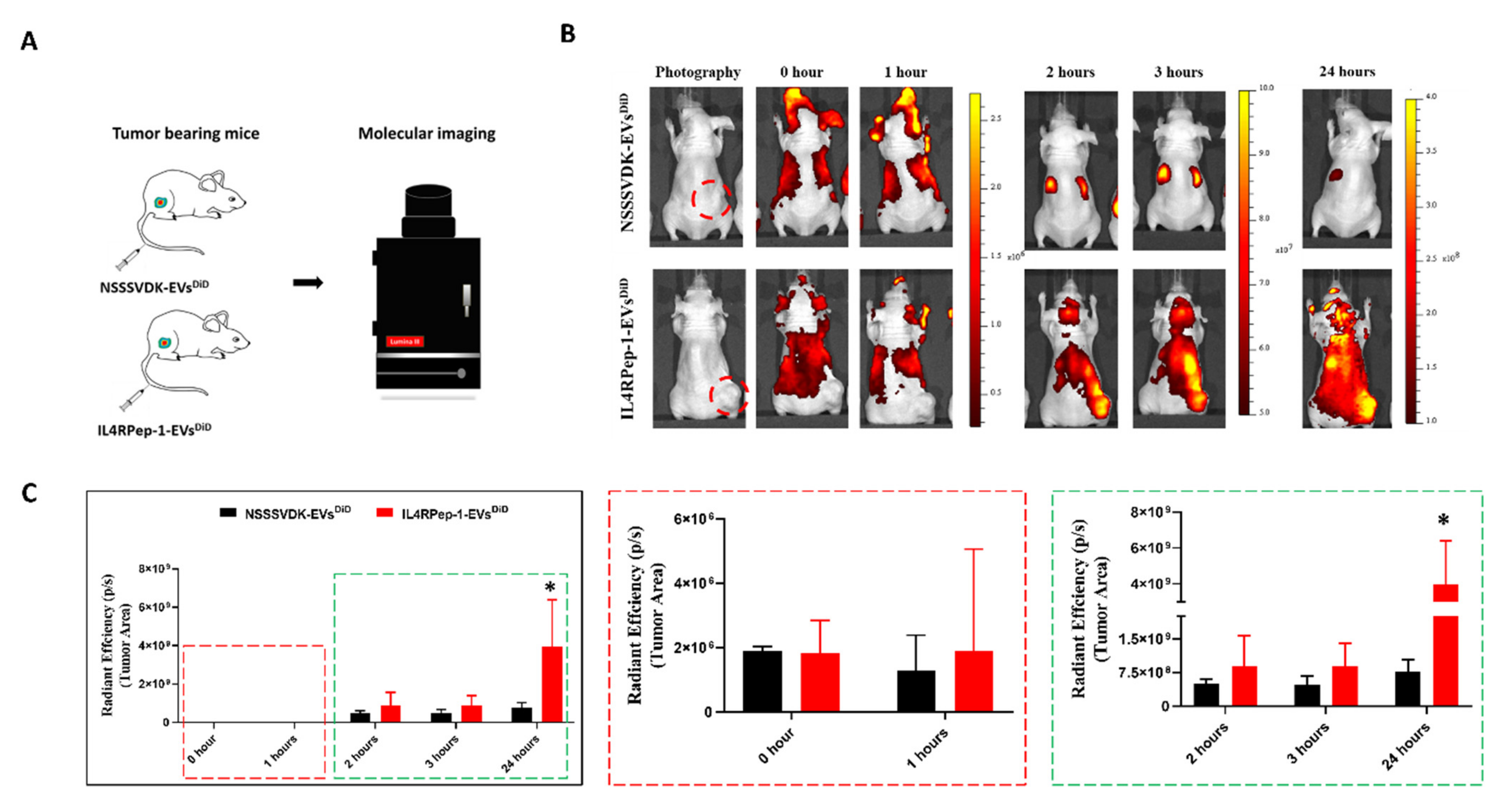 Biomedicines 10 01978 g006