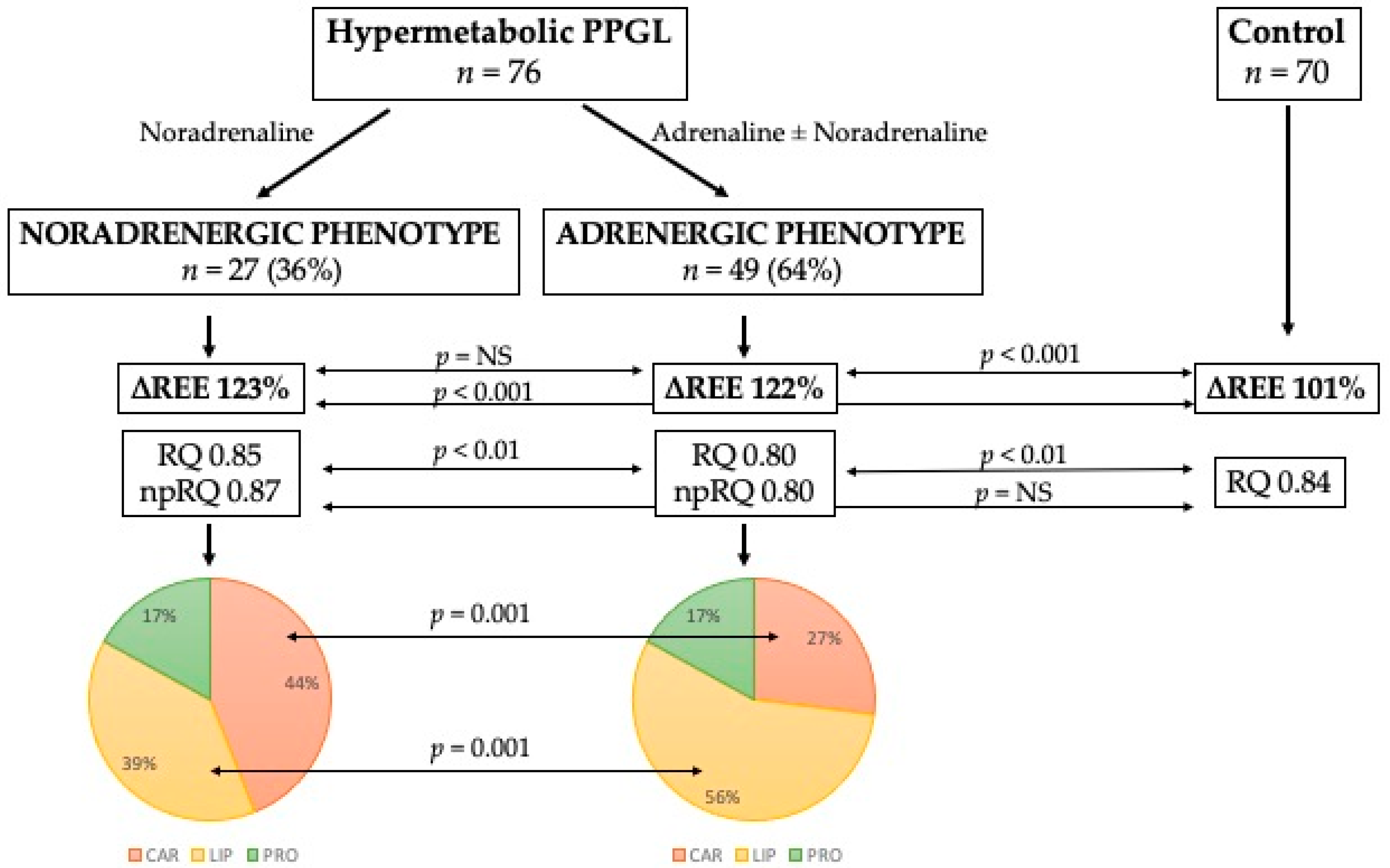 Biomedicines 10 01980 g001