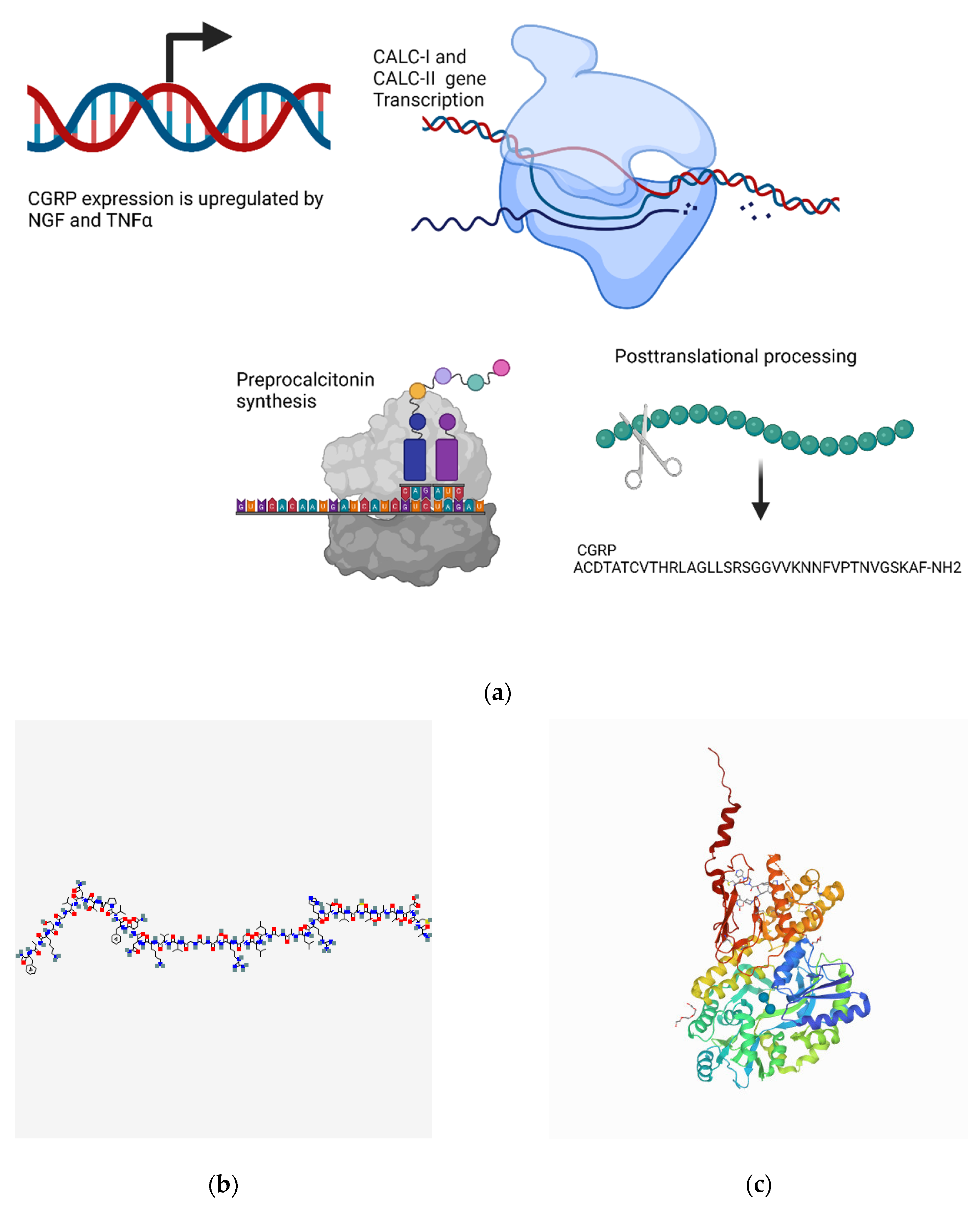 Biomedicines 10 01985 g003