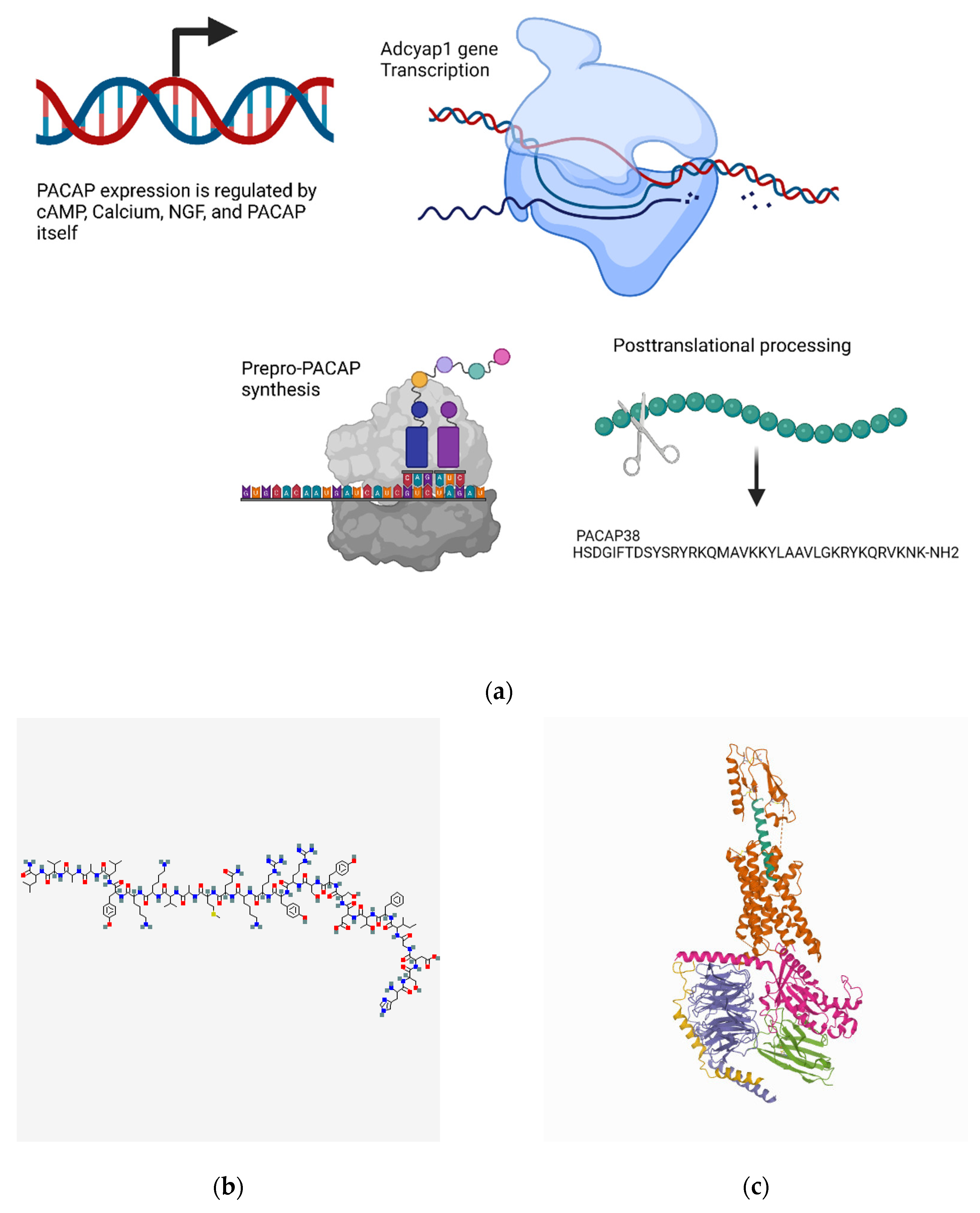 Biomedicines 10 01985 g006
