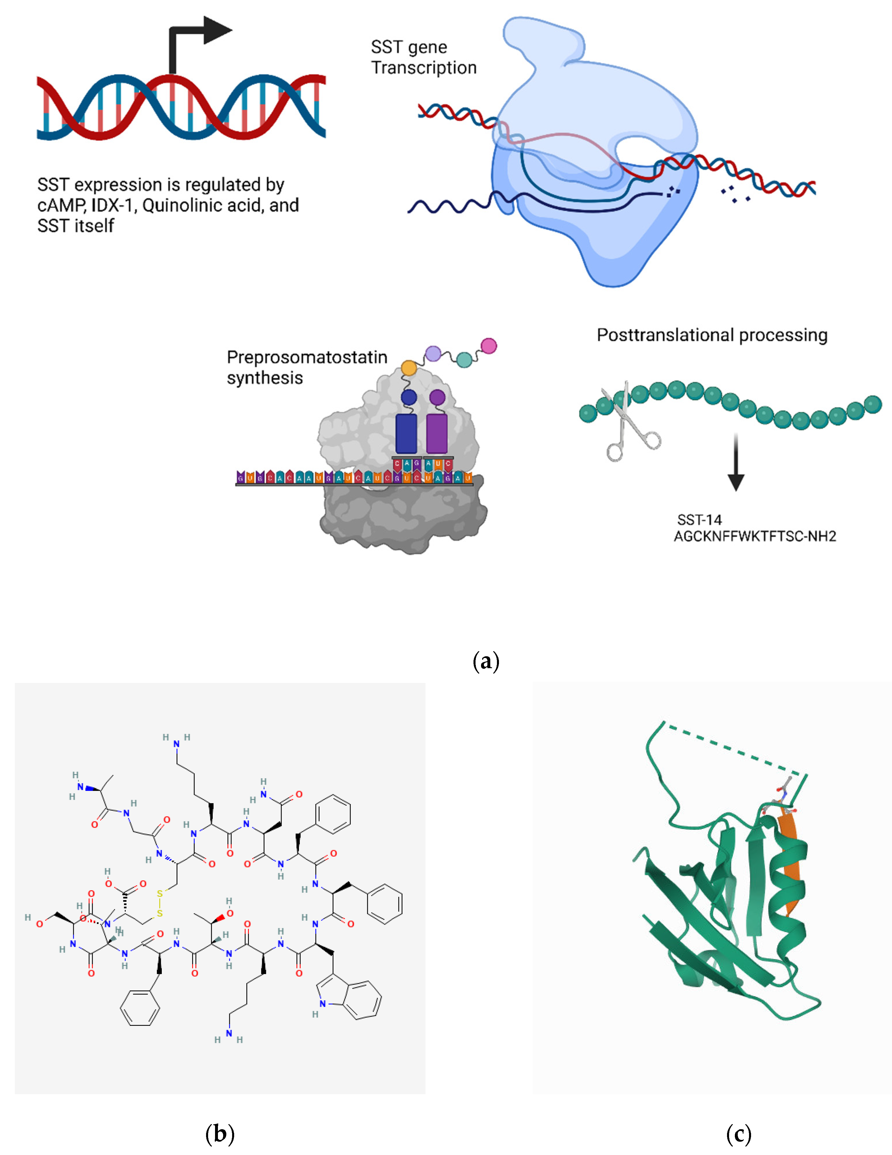 Biomedicines 10 01985 g008