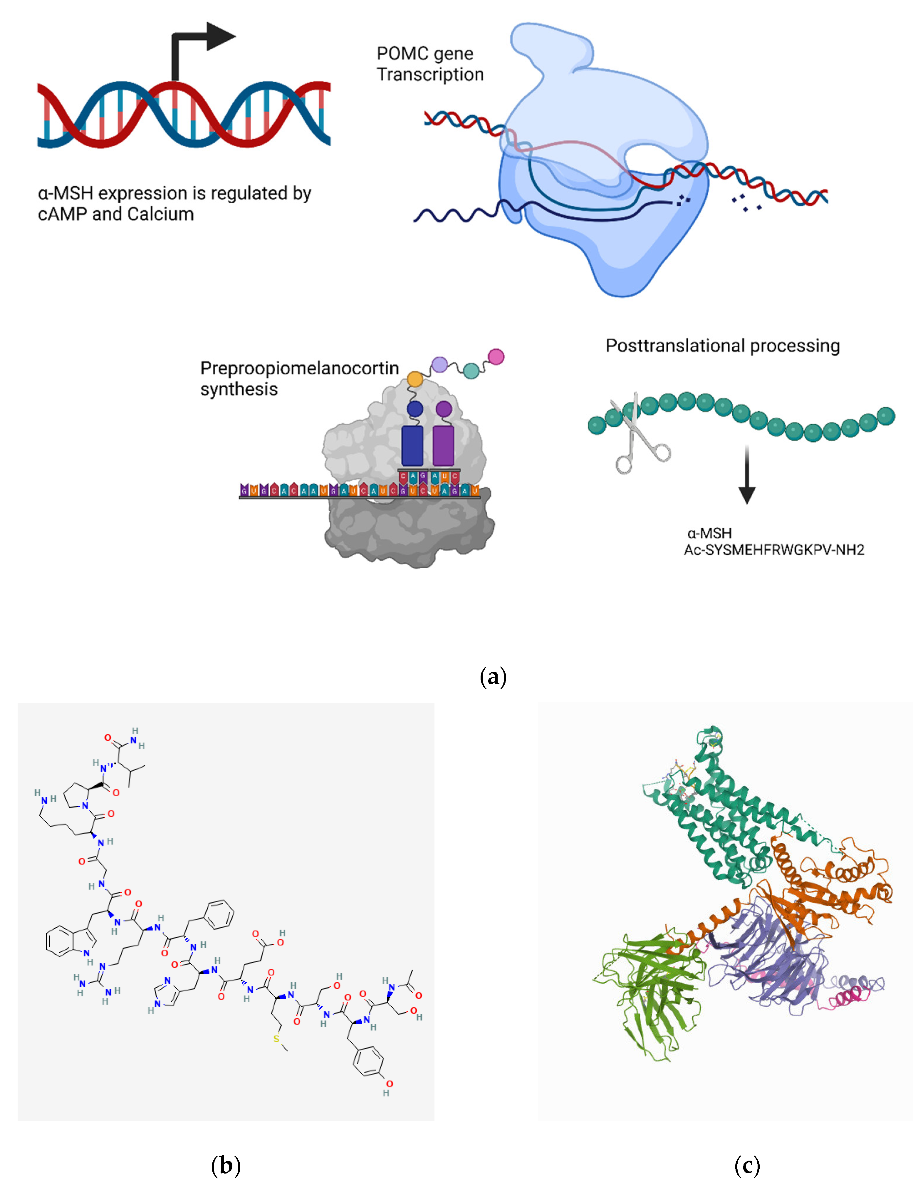Biomedicines 10 01985 g009