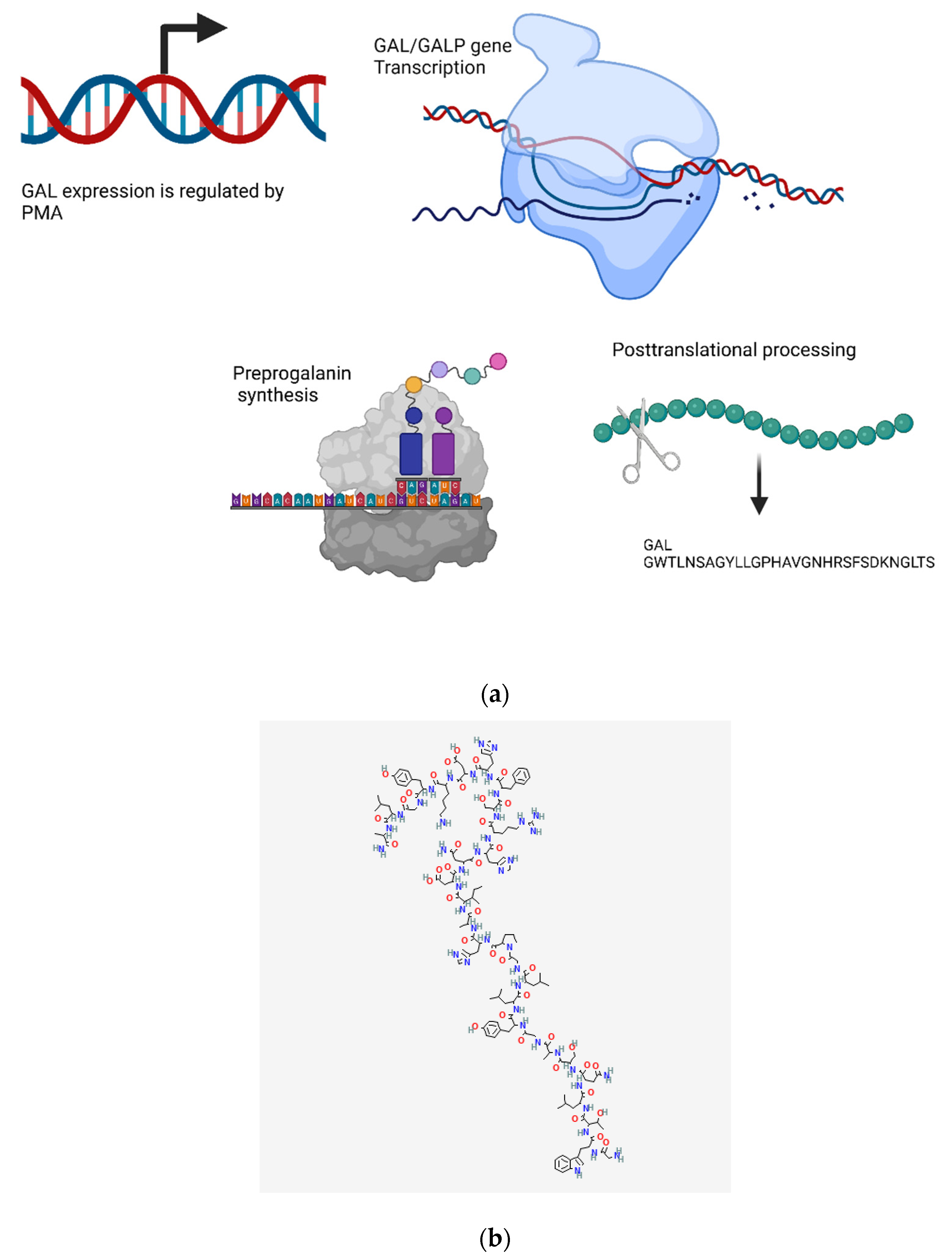 Biomedicines 10 01985 g010