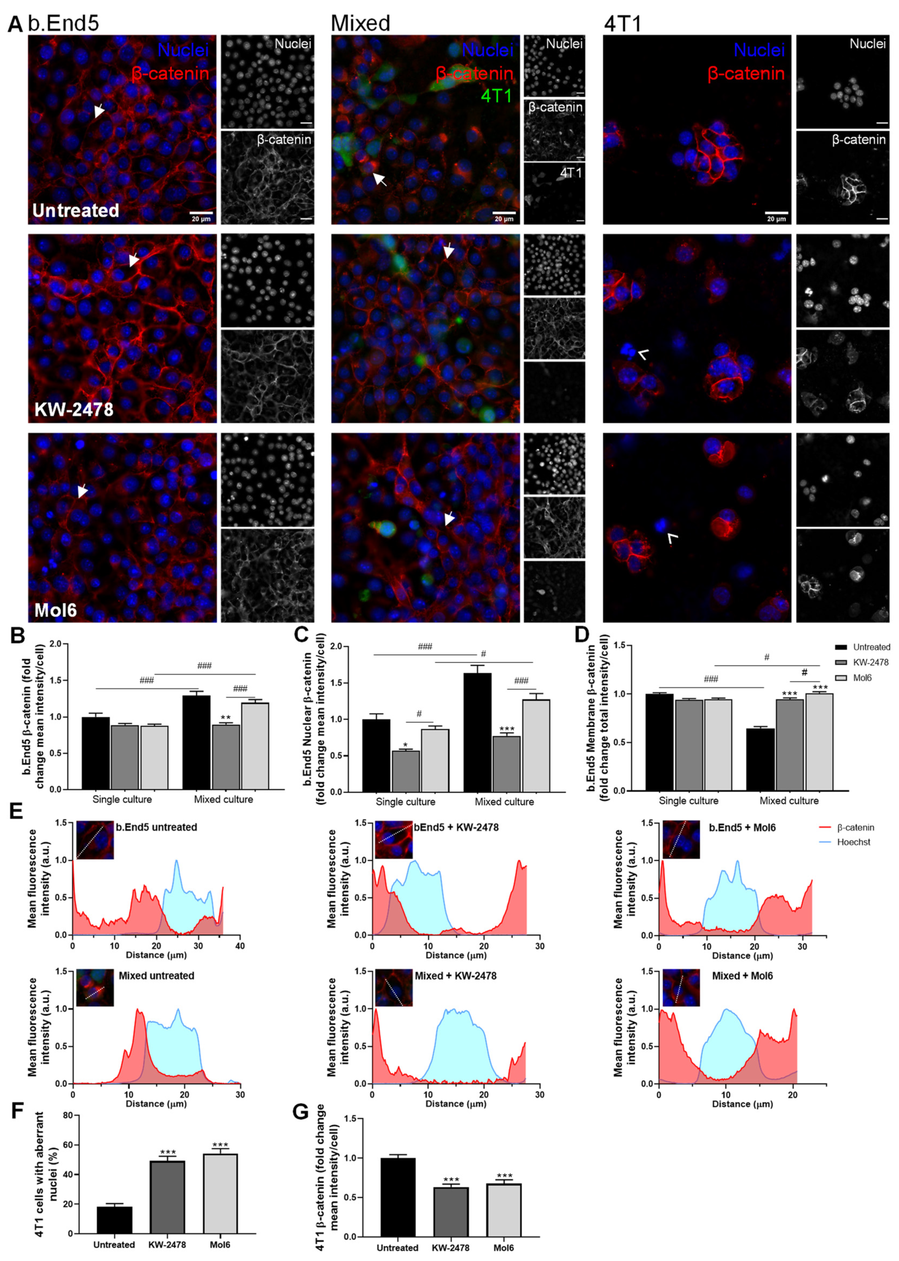 Biomedicines 10 01988 g003