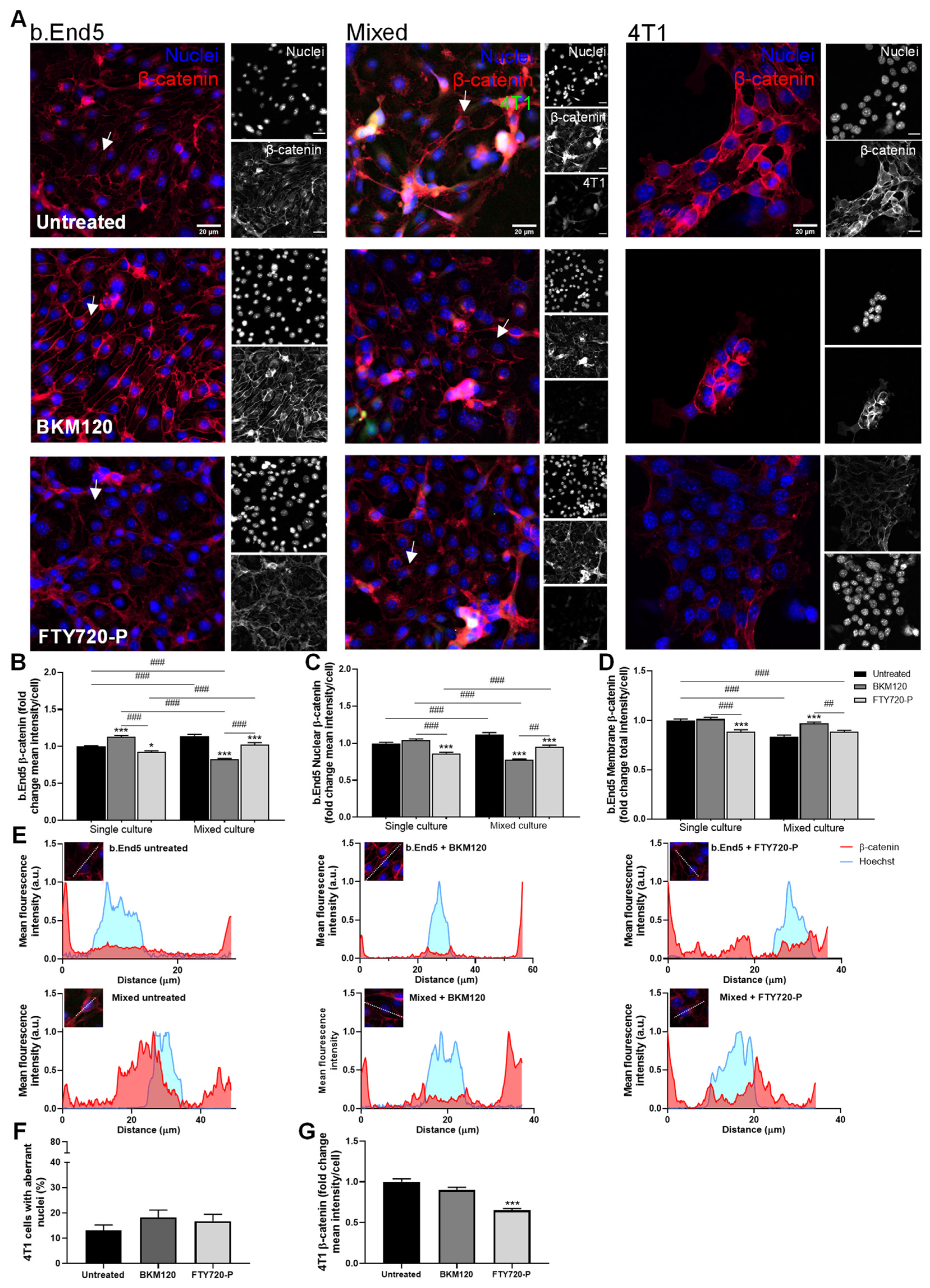 Biomedicines 10 01988 g004
