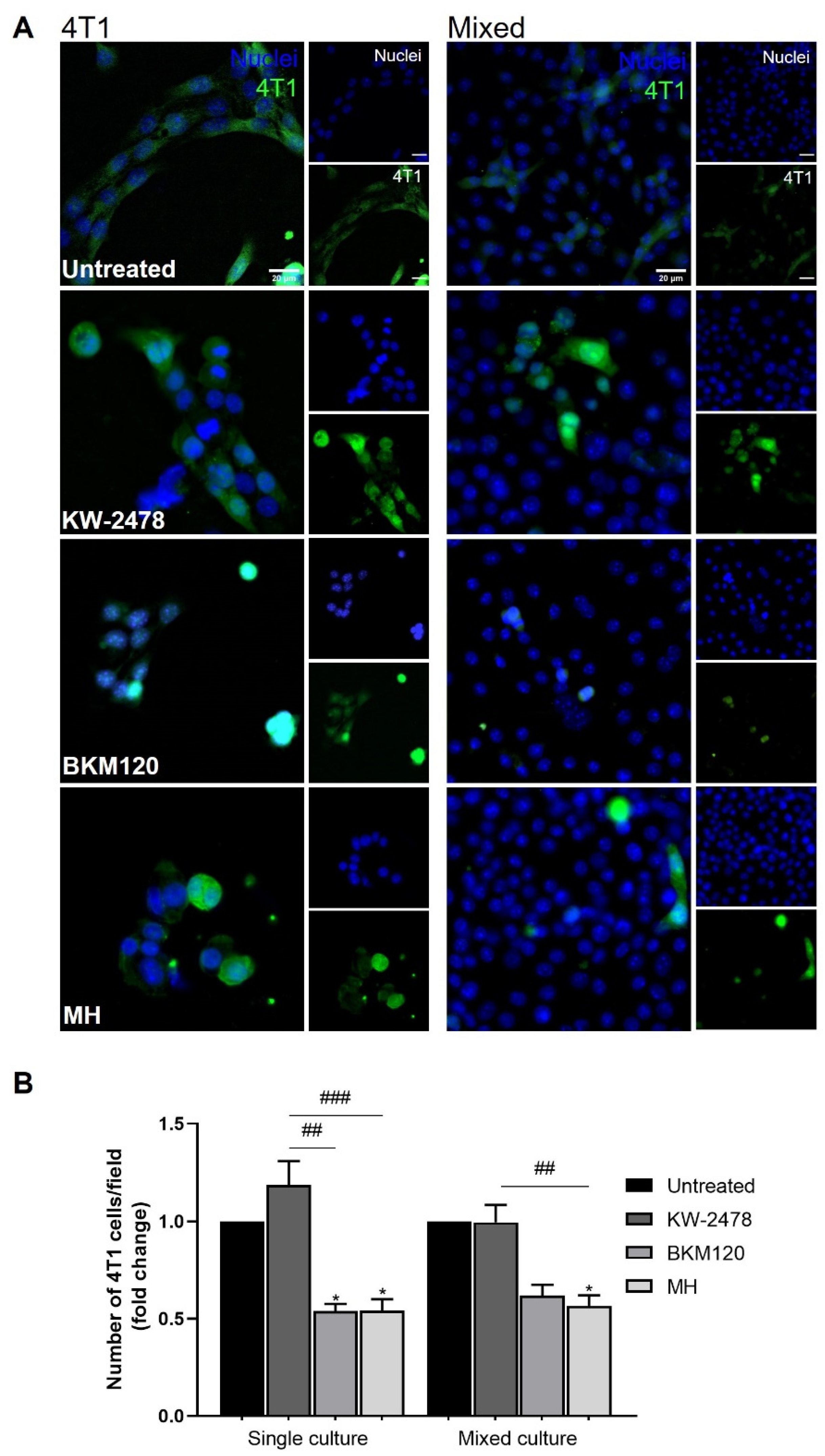 Biomedicines 10 01988 g006