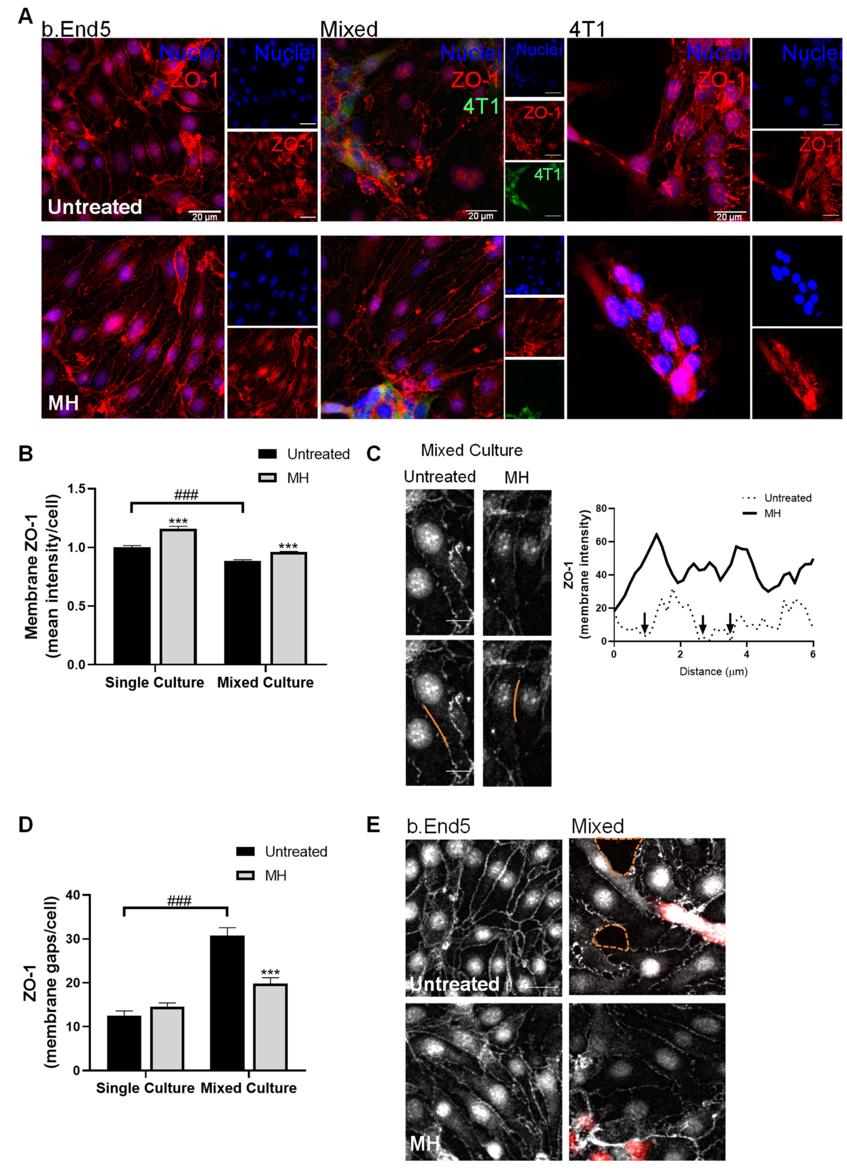 Biomedicines 10 01988 g008