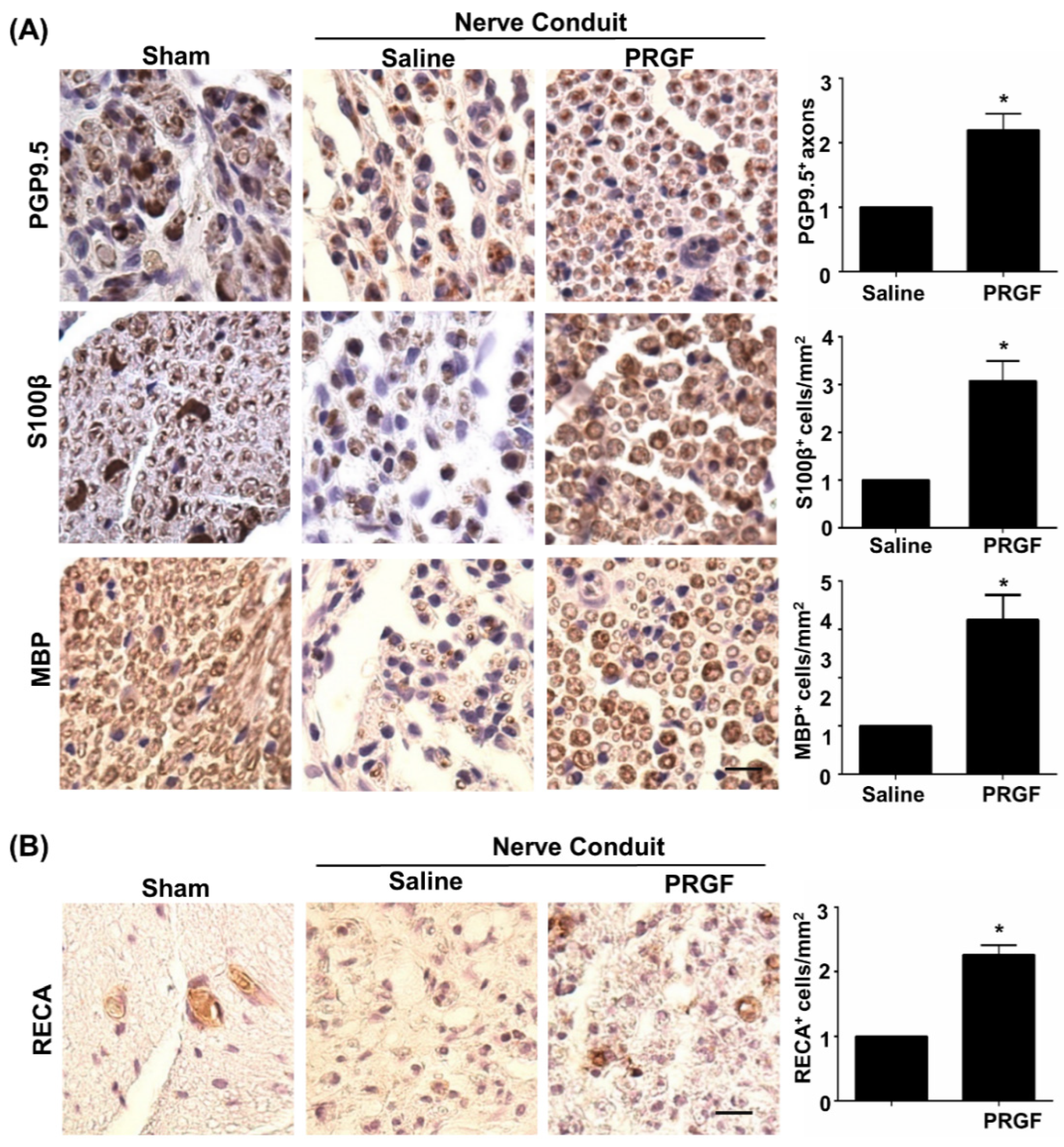 Biomedicines 10 01991 g004