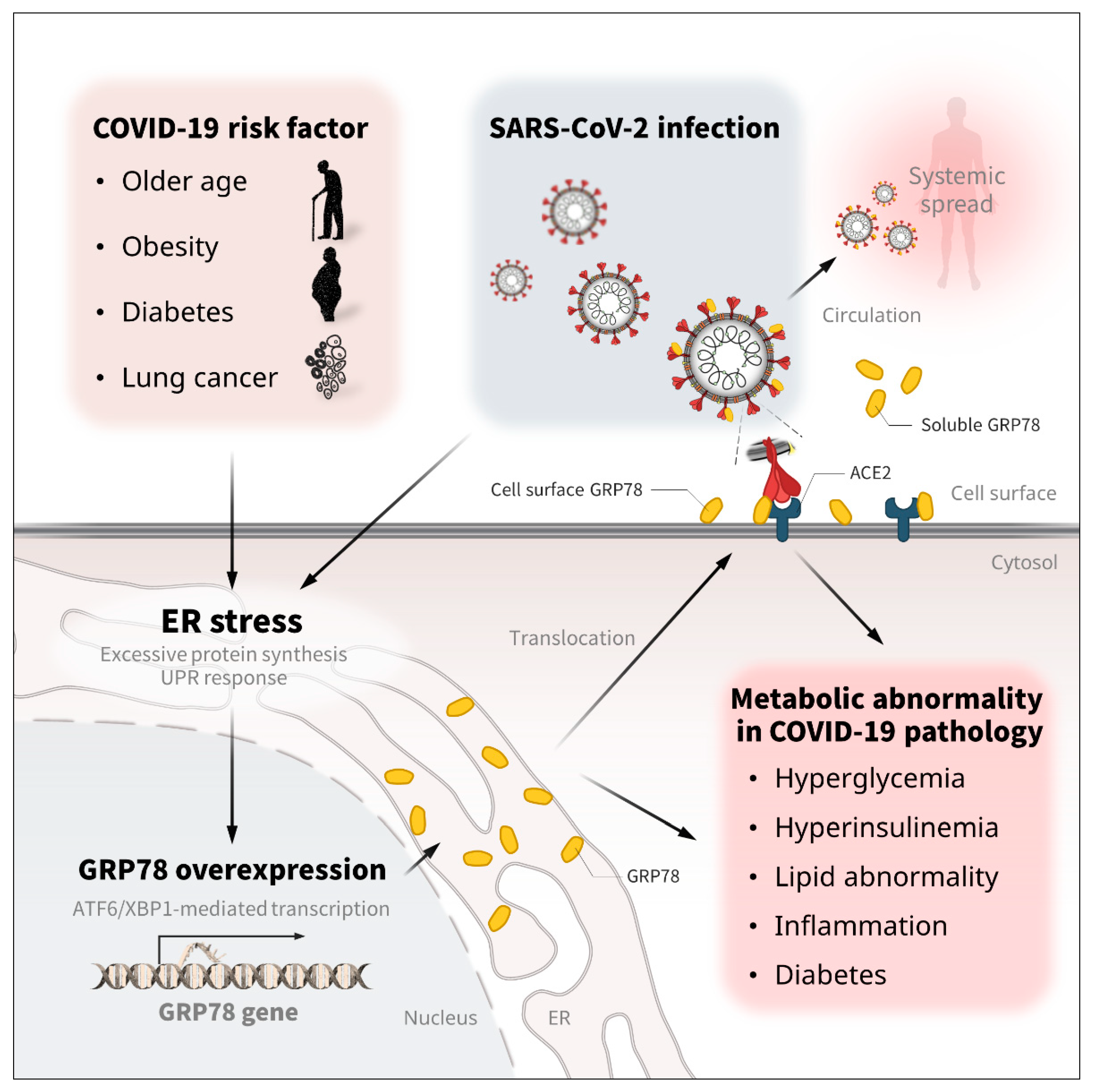 Biomedicines 10 01995 g004