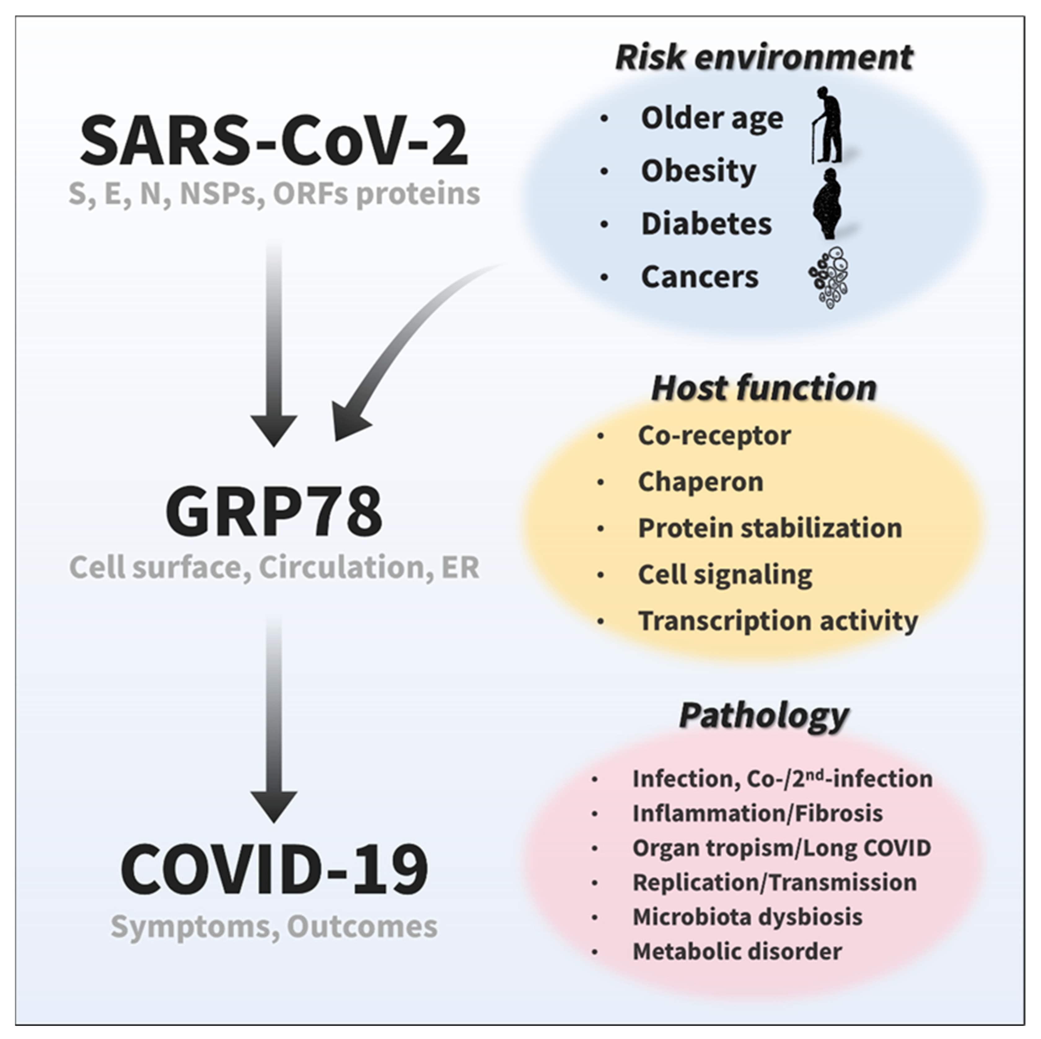 Biomedicines 10 01995 g005