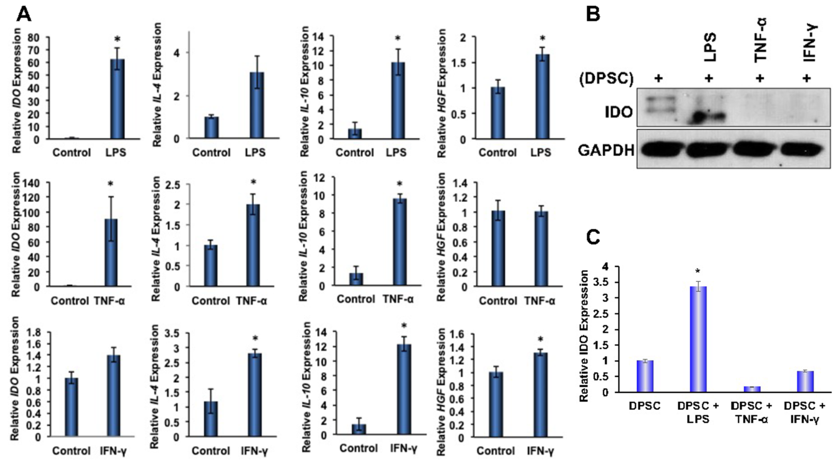Biomedicines 10 01999 g003